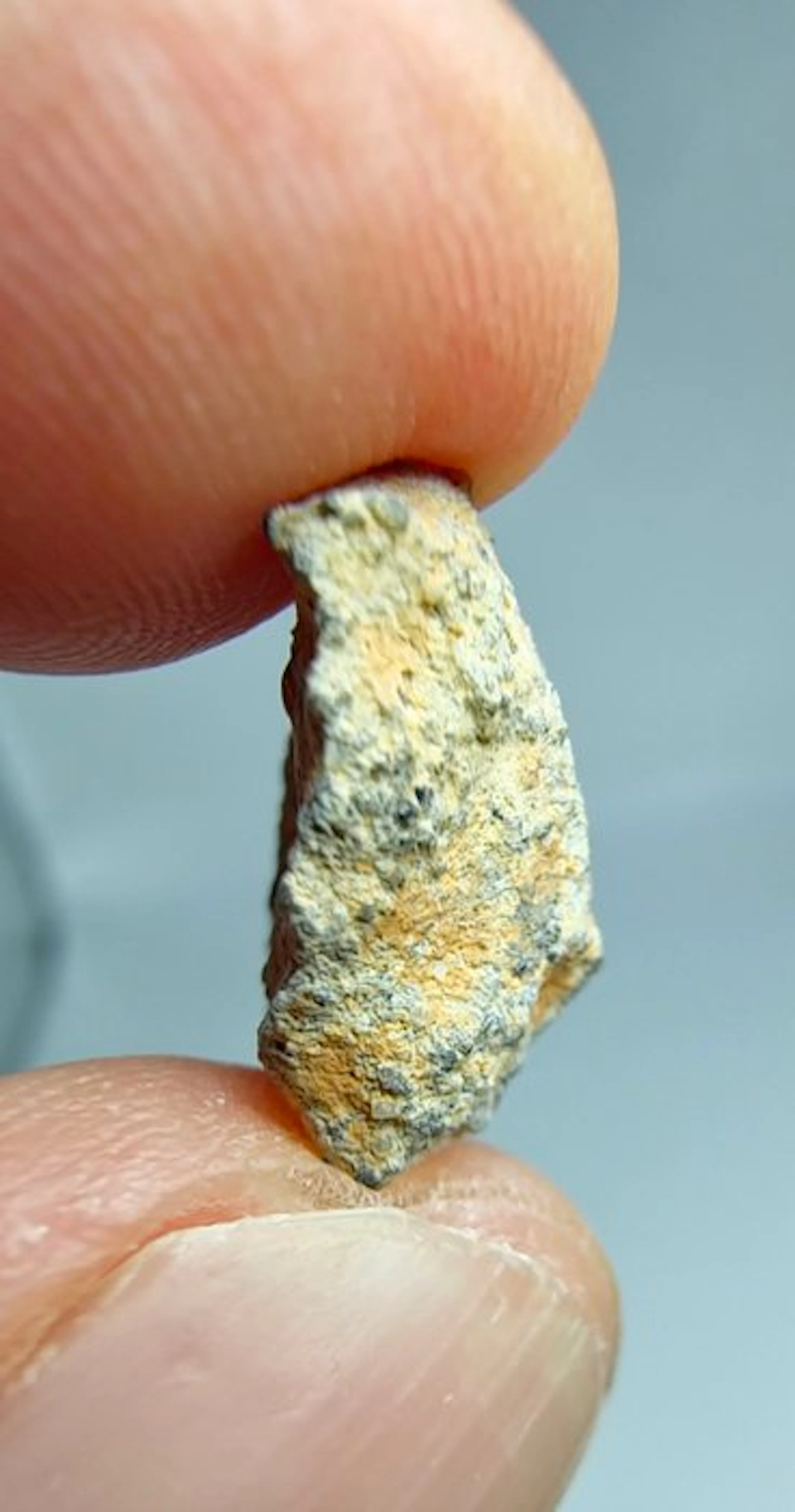 Lunar meteorite Bechar 006. Feldspathic breccia. - 2 g