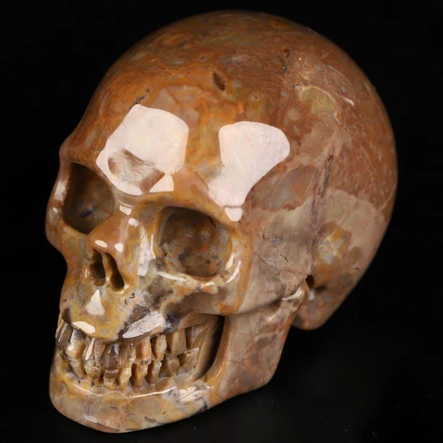 World Rarity 94 g 5.20 x 3.00 cm AA Dinosaur Gembone Utah...