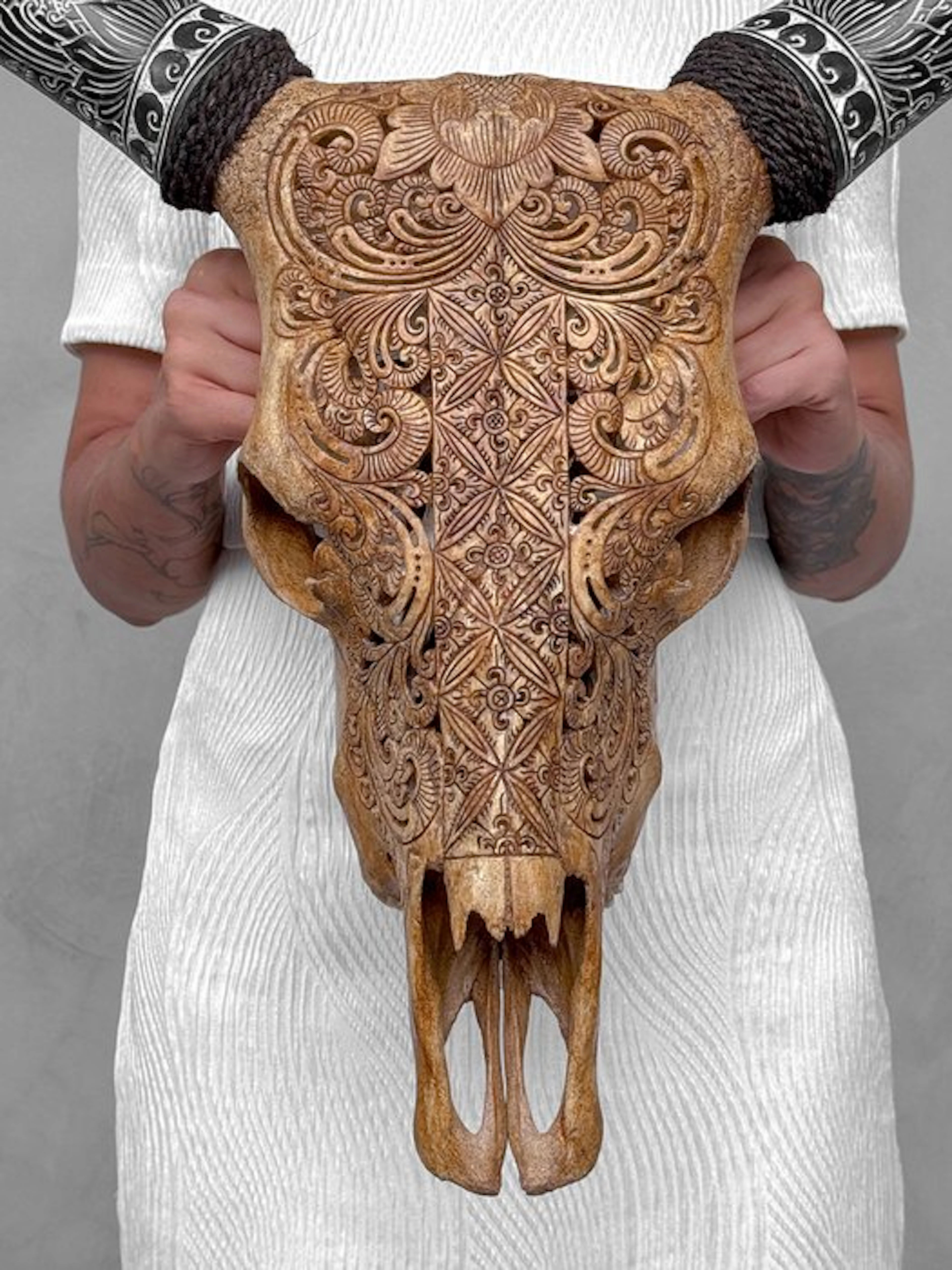 NO RESERVE PRICE - Authentic Brown Cow Skull with...