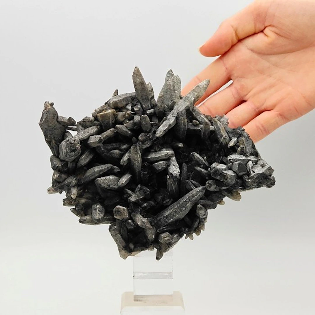 ESTETICO CLUSTER of gray bituminous quartz