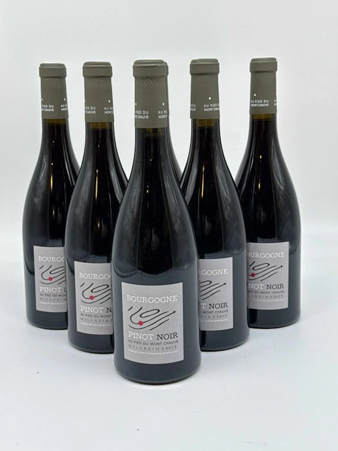 2019 Au pied du Mont Chauve Bourgogne Pinot Noir - Burgundy - 6 Bottles (0.75L)