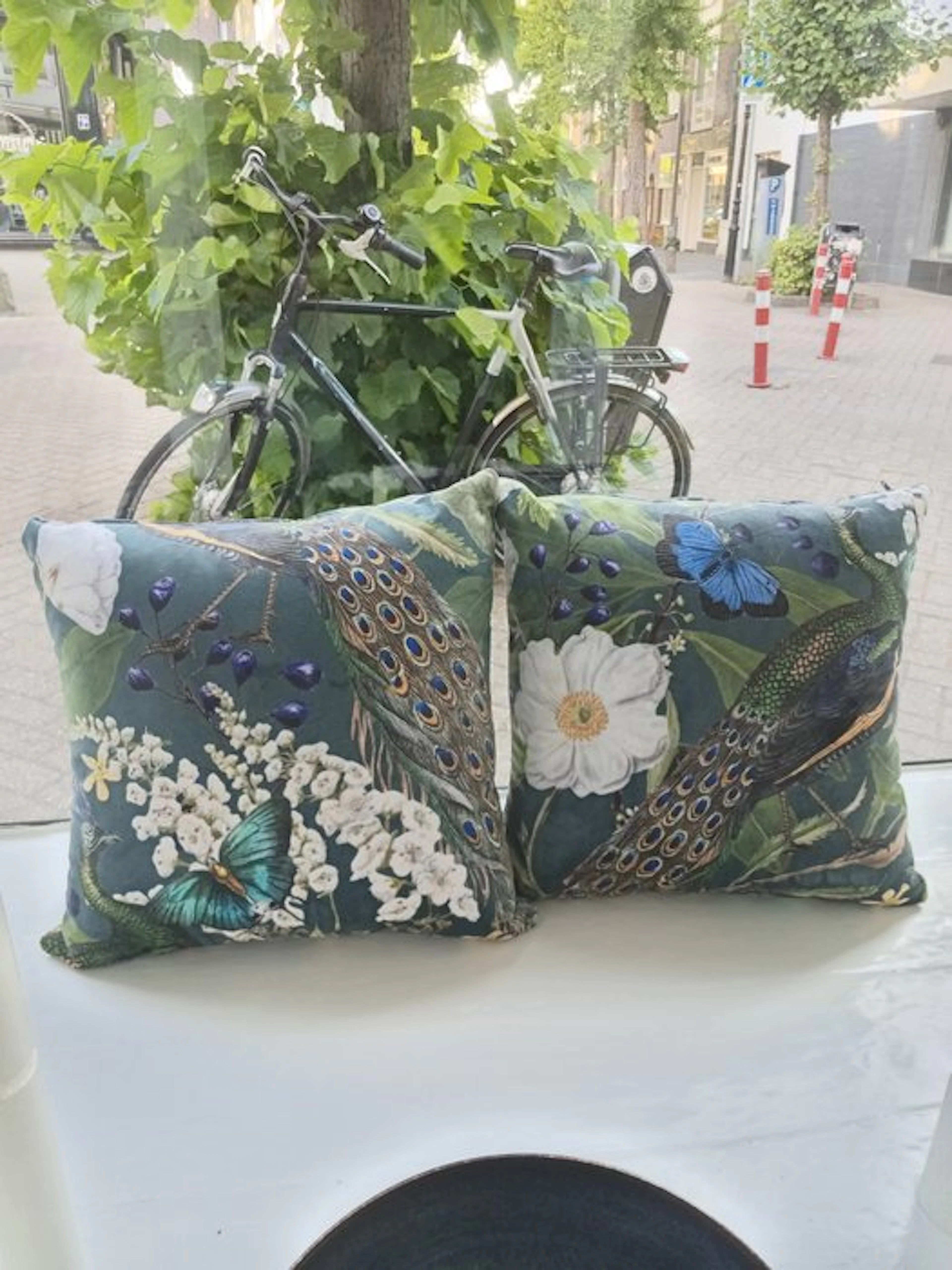 Cushion