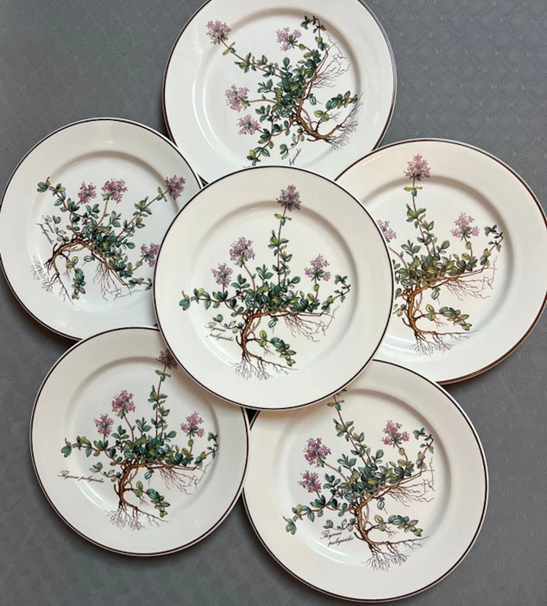 Villeroy & Boch - Dish (6) - botanica - Porcelain