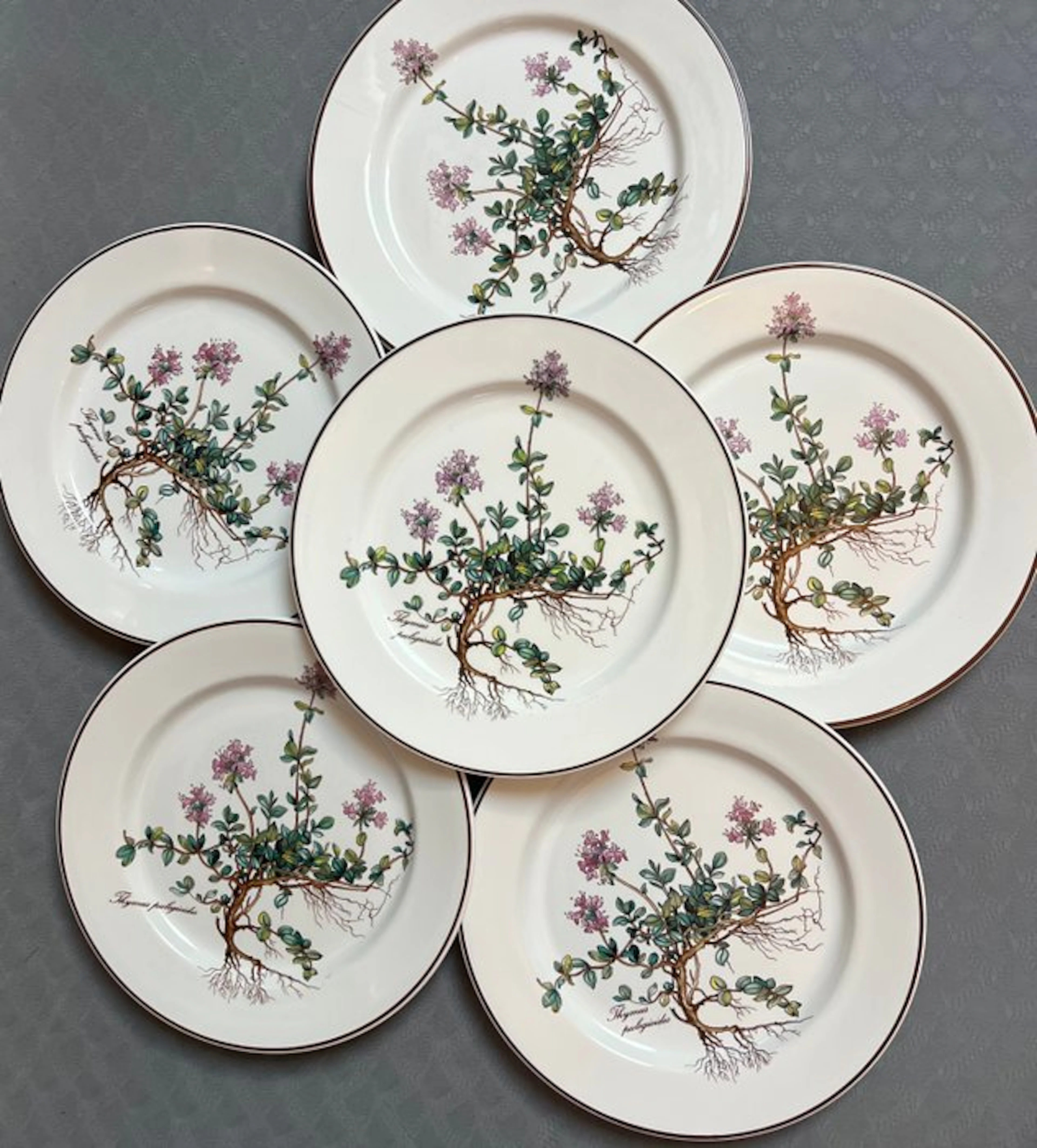 Villeroy & Boch - Dish (6) - botanica - Porcelain
