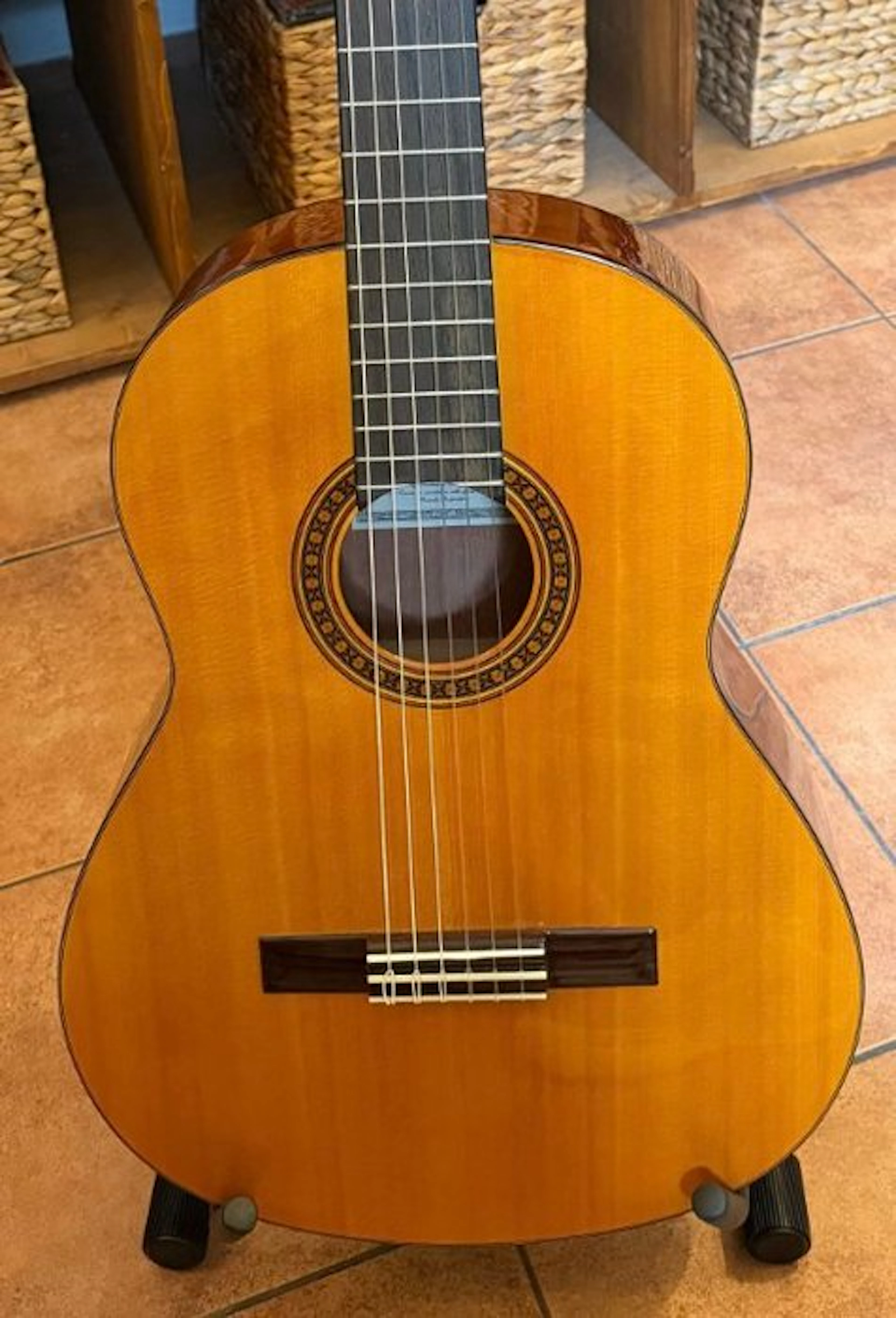 Yamaha - CG-101 - - Classical guitar - Taiwan - 2002 (No reserve price)