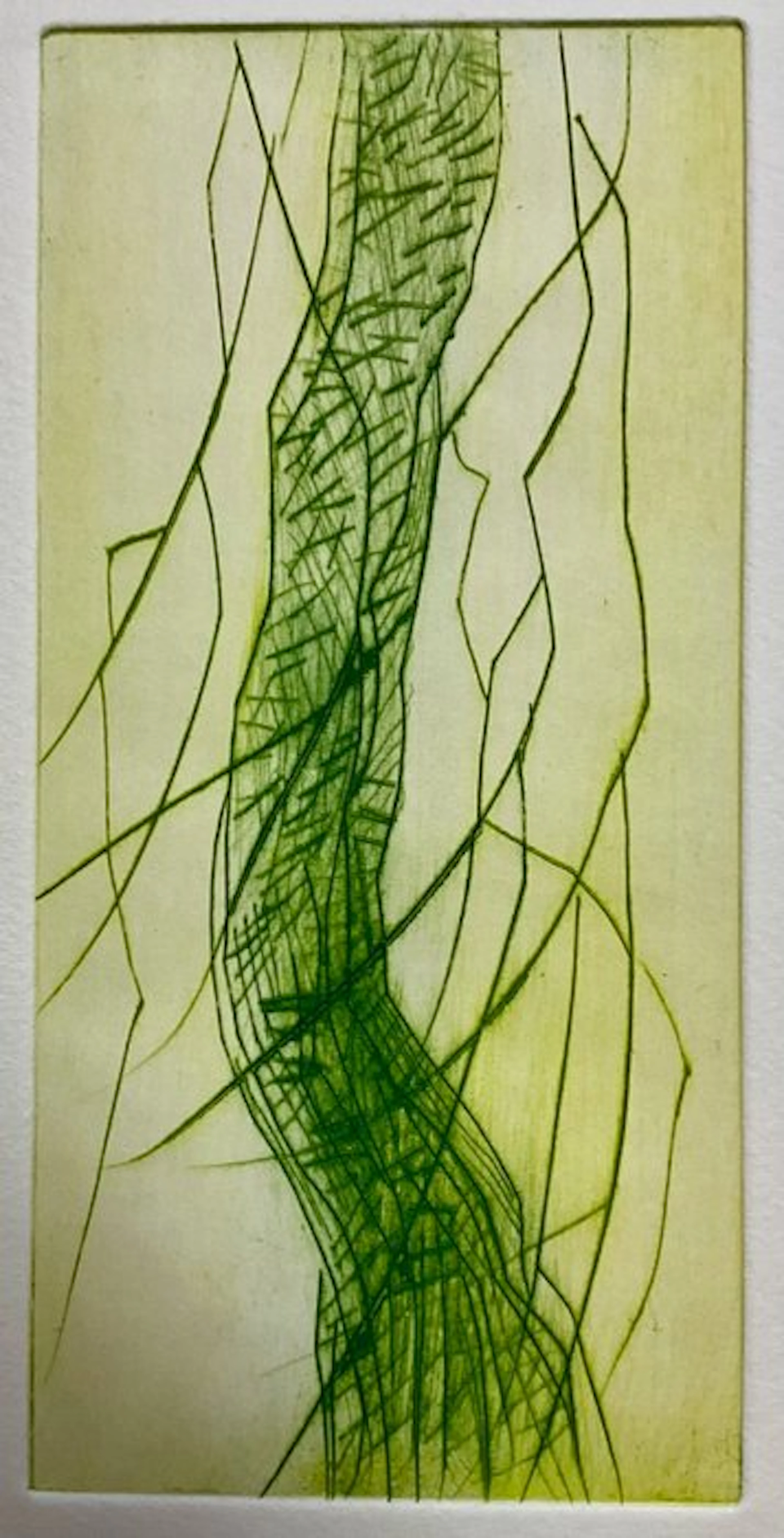 Robert Zandvliet - WILLOW, PINE AND OAK