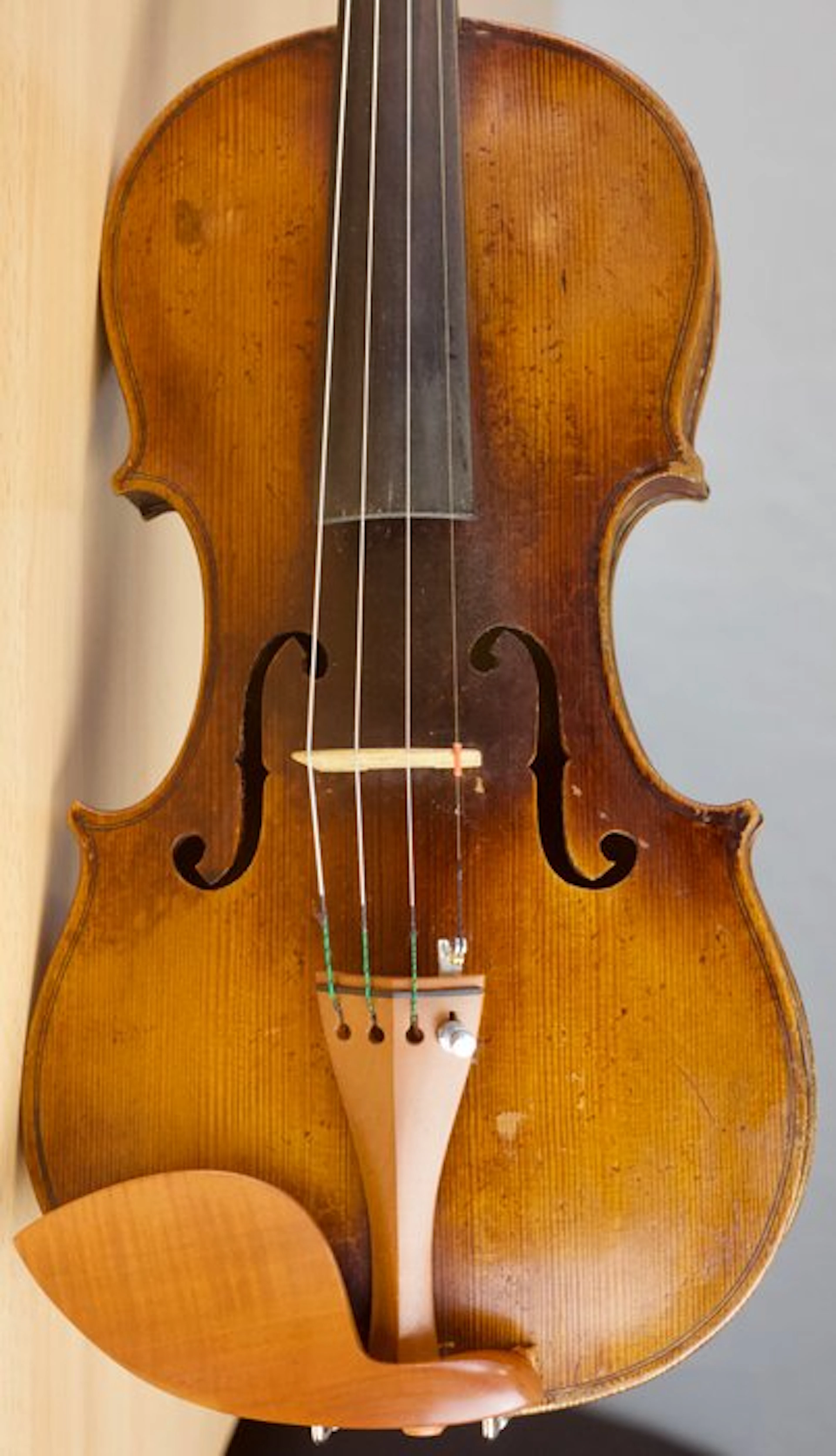 Labelled David Tecchler - - Violin - Unknown