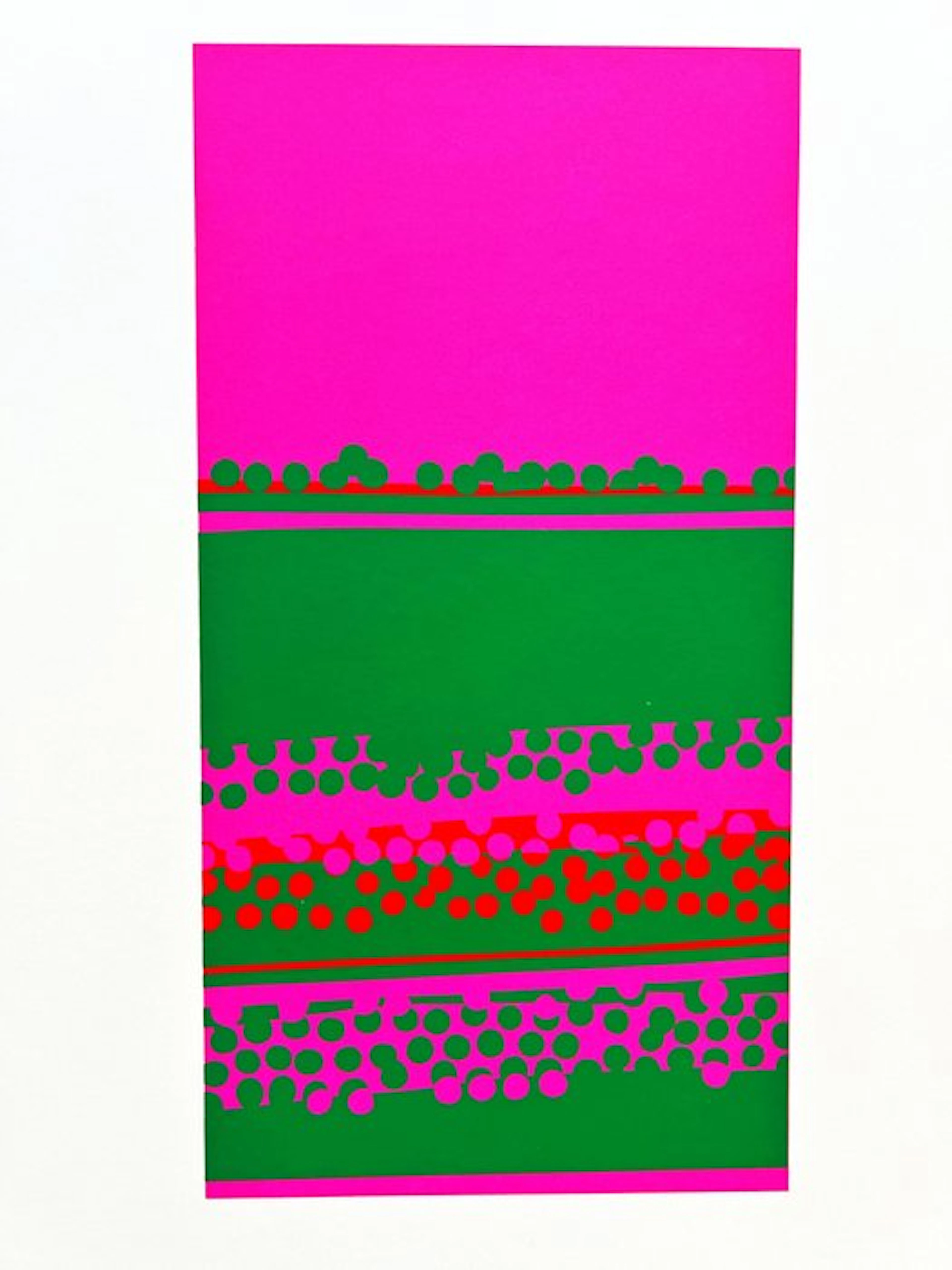 Josef Albers (1888-1976) - Interaction of Colors - XVIII-13