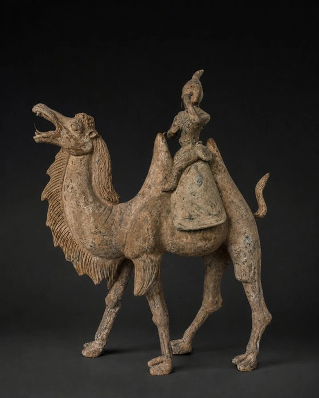 Ancient Chinese, Tang Dynasty Terracotta Camell and rider. With invoice - 73 cm