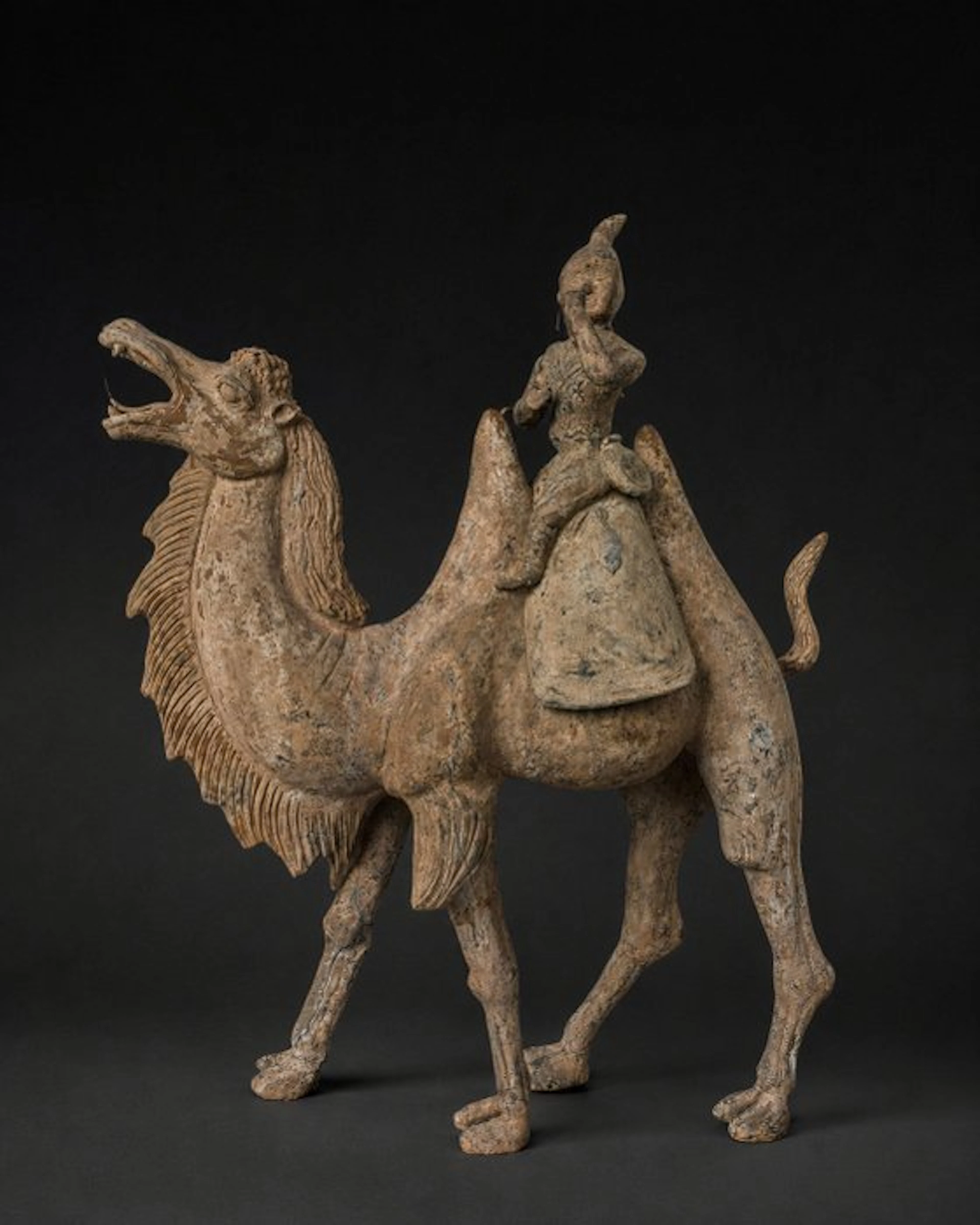 Ancient Chinese, Tang Dynasty Terracotta Camell and rider. With invoice - 73 cm