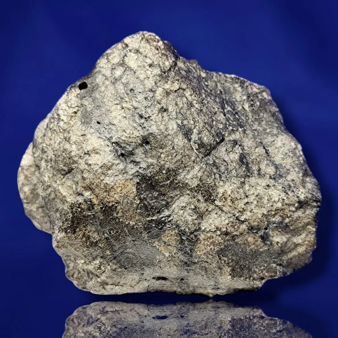 XL Amazing!!! EUCRITE MELT BRECCIA