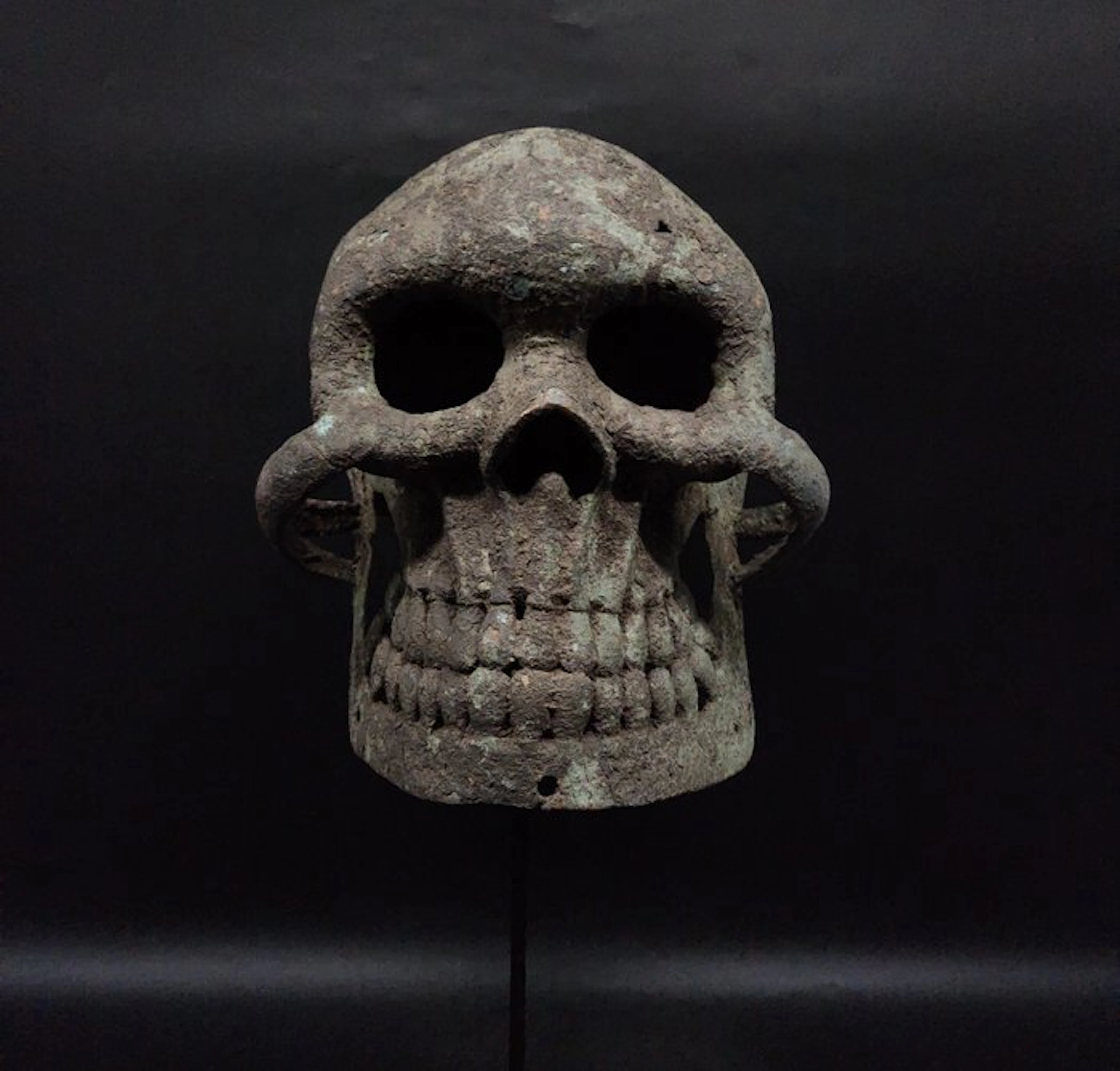 Magnifique masque crâne - Sculpture - Yoruba - Nigeria (No reserve price)