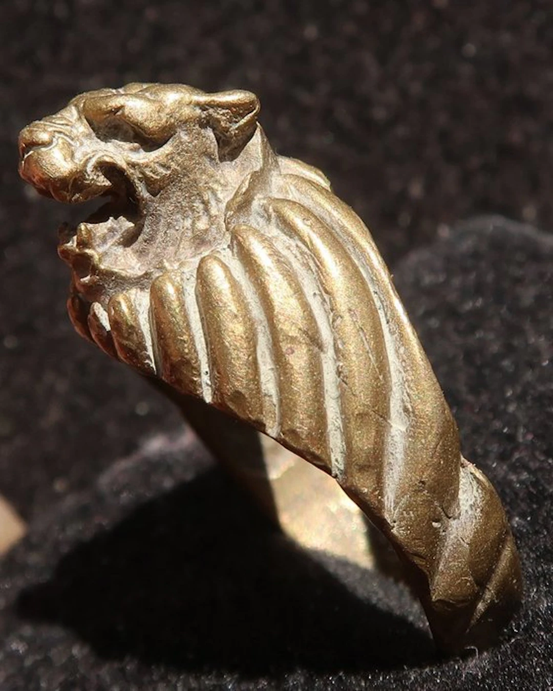 Knightess “Exorcist Tiger” & Guard Magic: The Demon-Eater - Protection - Ring