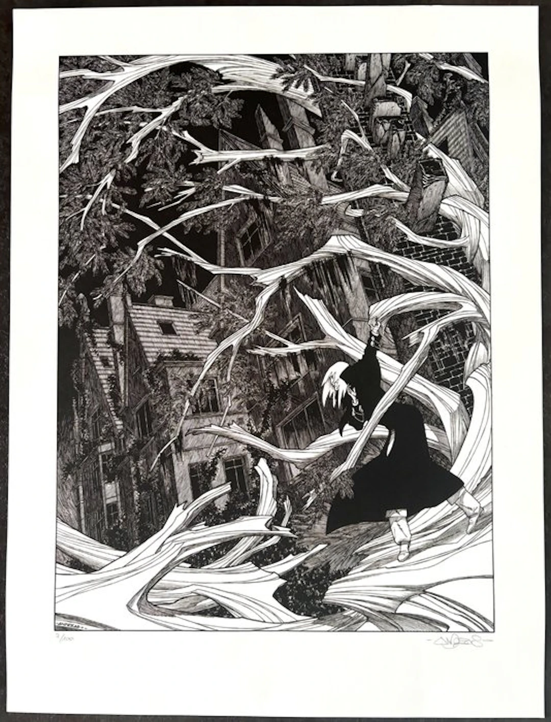 Andréas - 1 Offset Print - Capricorne - 39 x 52cm