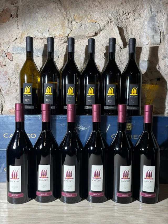 2020 6x Paolo Caccese Merlot & 2021 6x Sauvignon Collio...