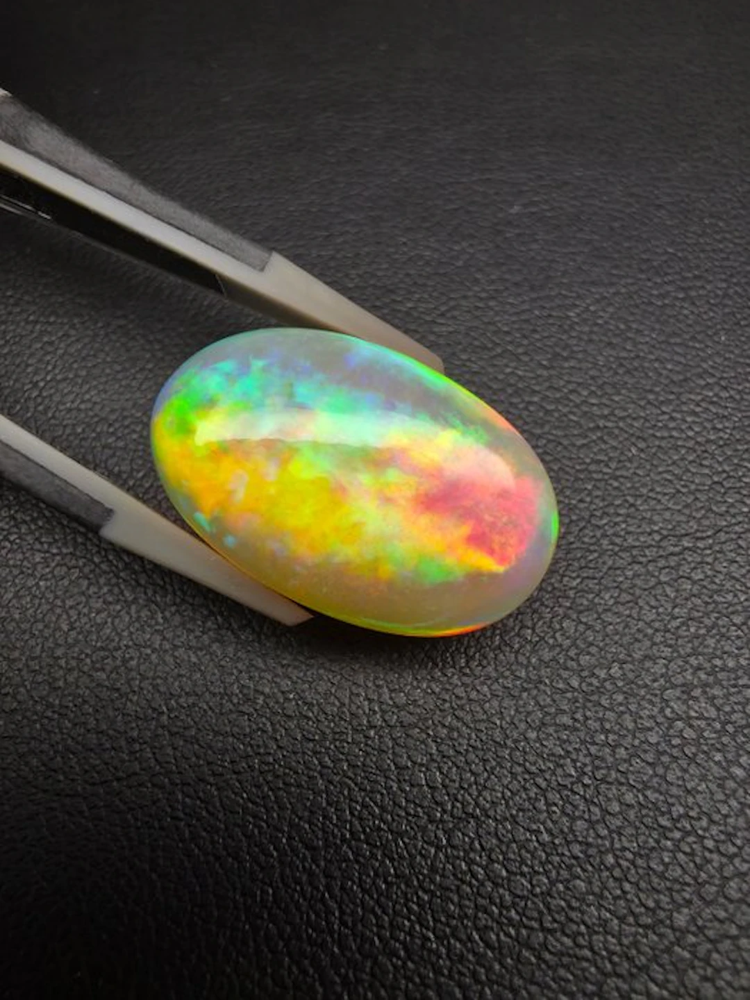 No reserve price Multicolour