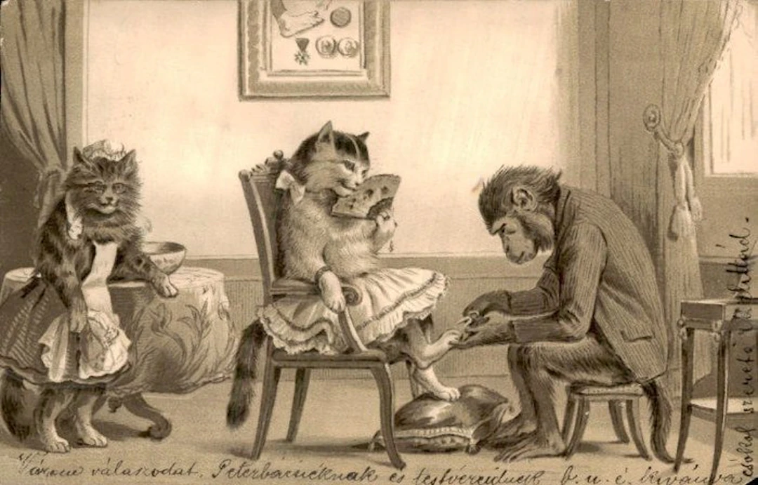 Cats / Queens - Postcard (57) - 1900-1999
