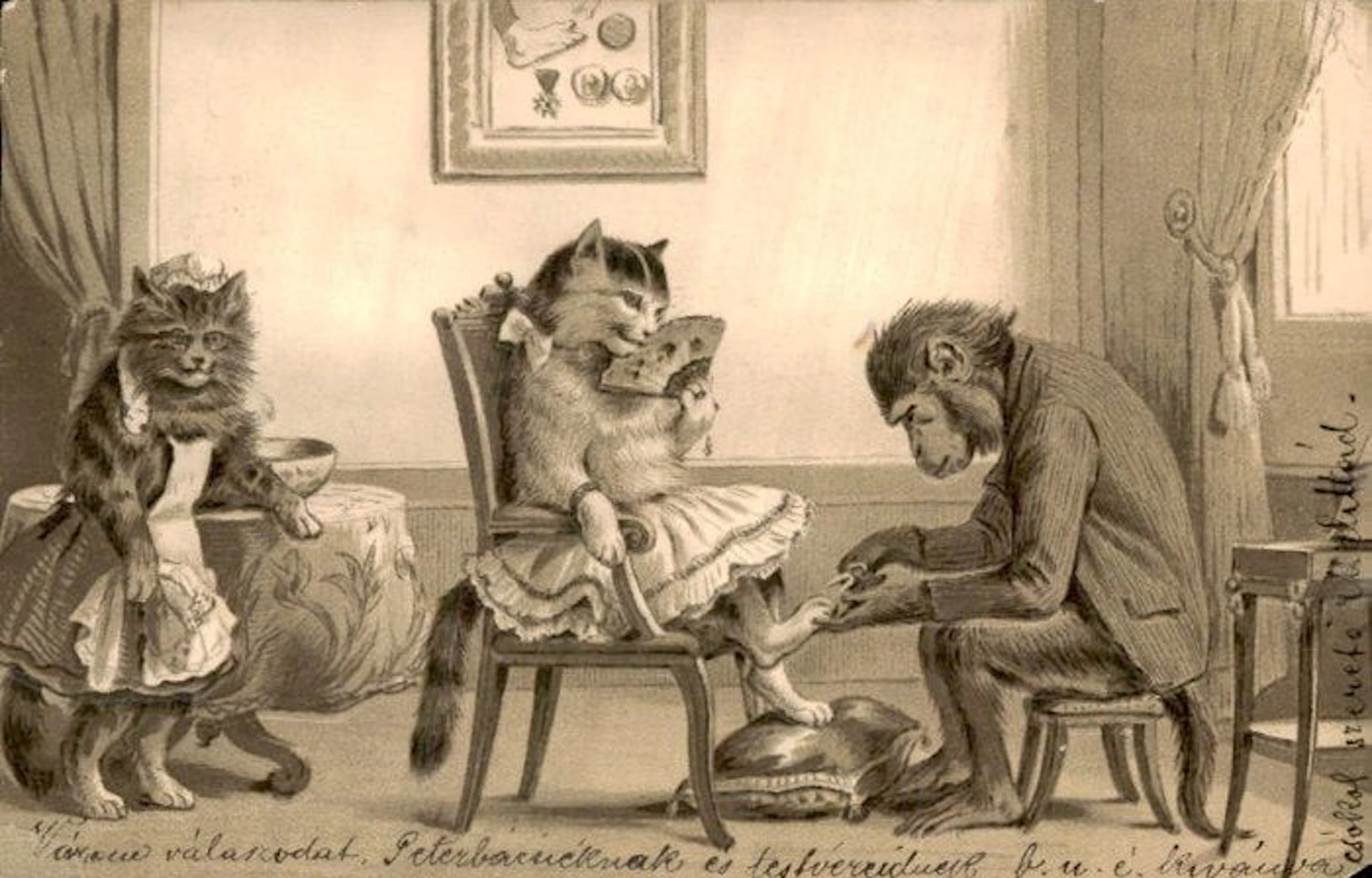 Cats / Queens - Postcard (57) - 1900-1999