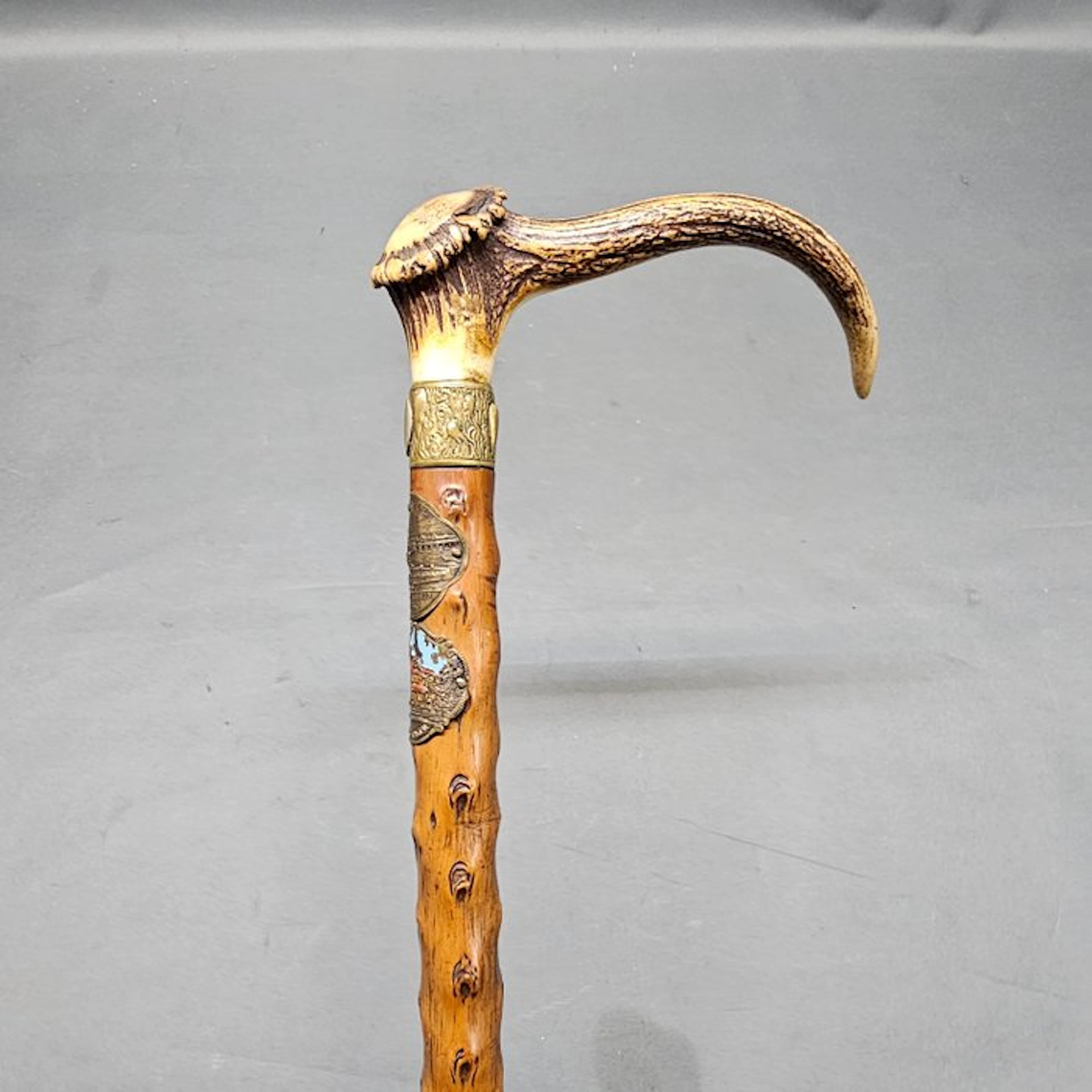 Walking stick - Bone - Alter Horn hunting stock