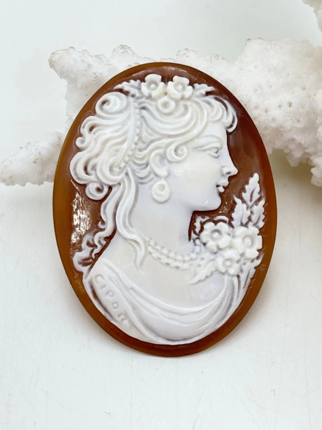 No reserve price CASSIS MADAGASCARIENSIS - Cameo - Hand-carved cameo