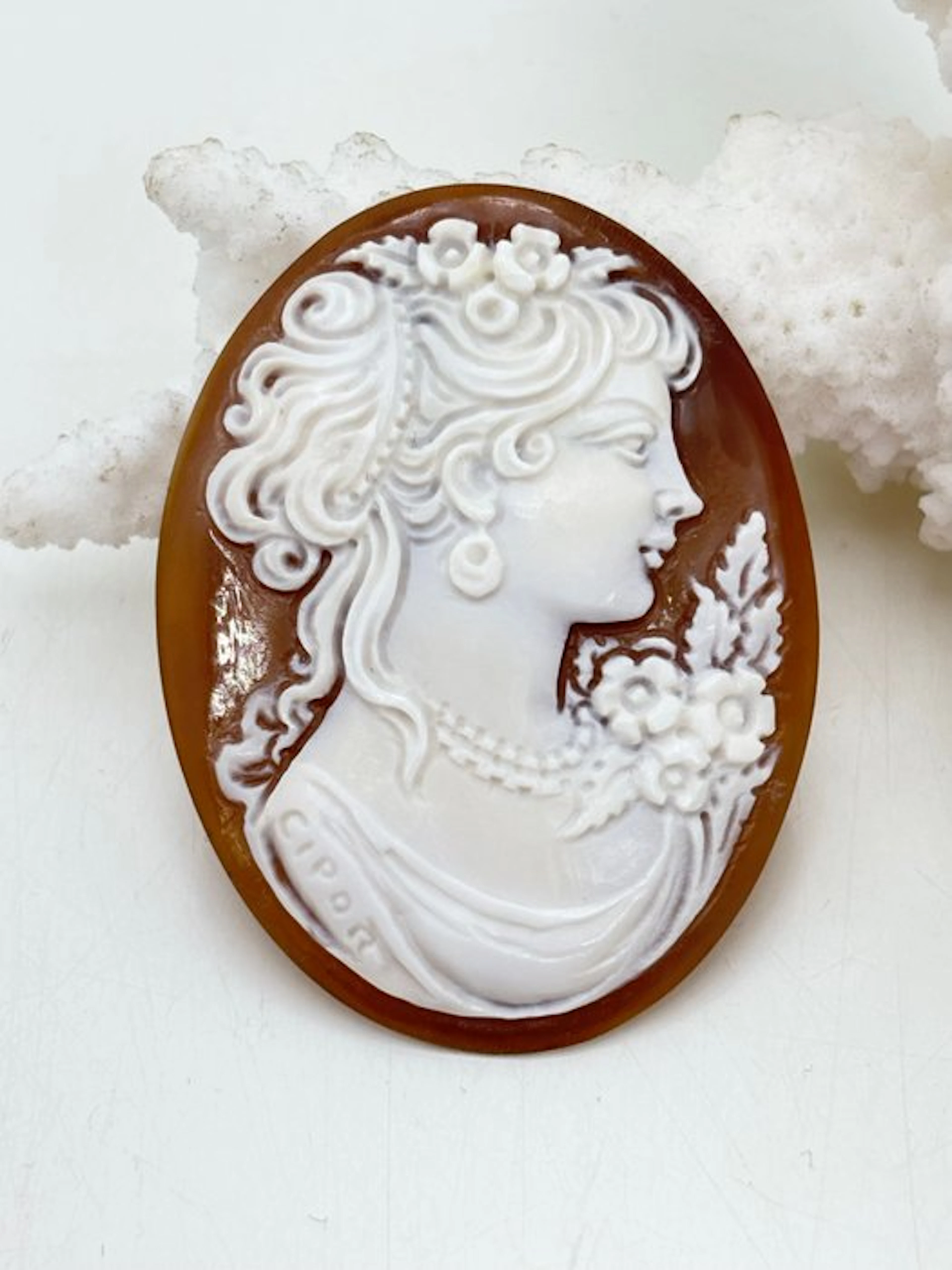 No reserve price CASSIS MADAGASCARIENSIS - Cameo - Hand-carved cameo