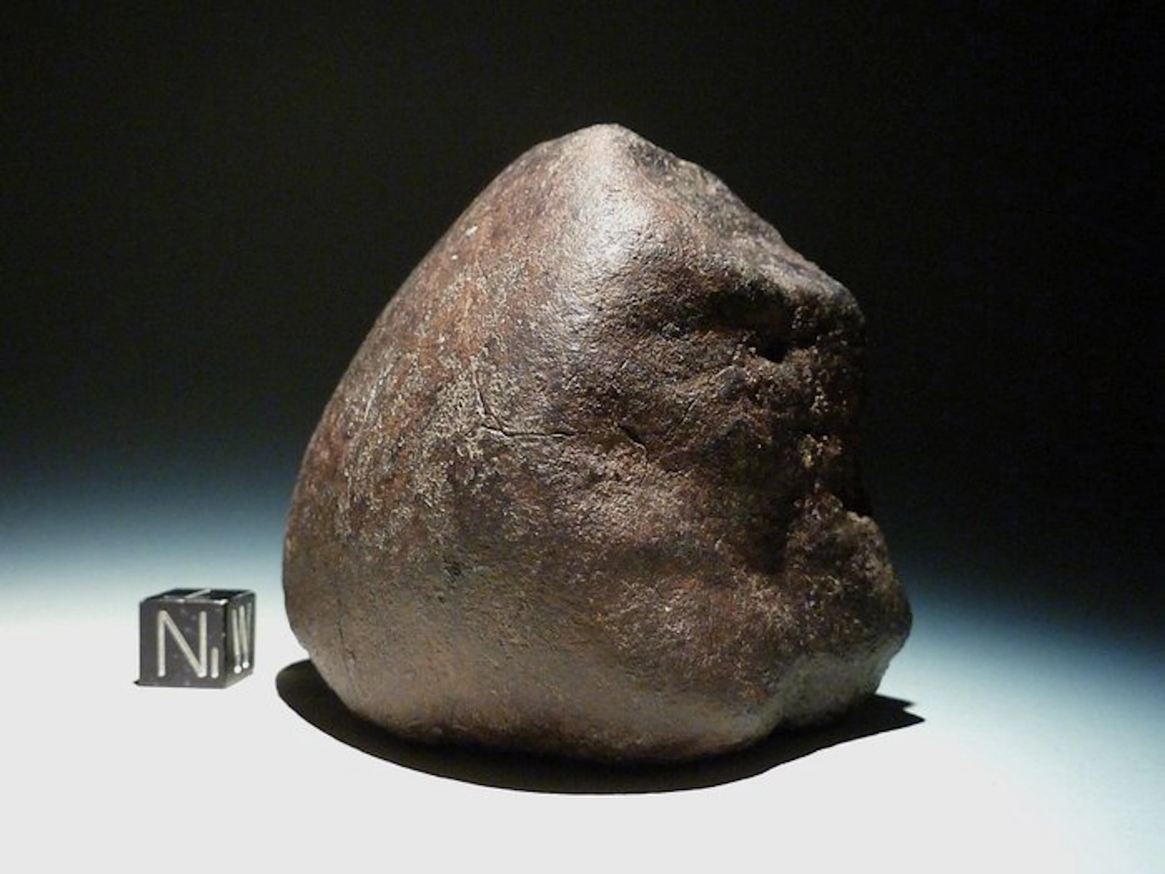 NWA unclassified Sahara Stone Meteorite oriented - 296 g