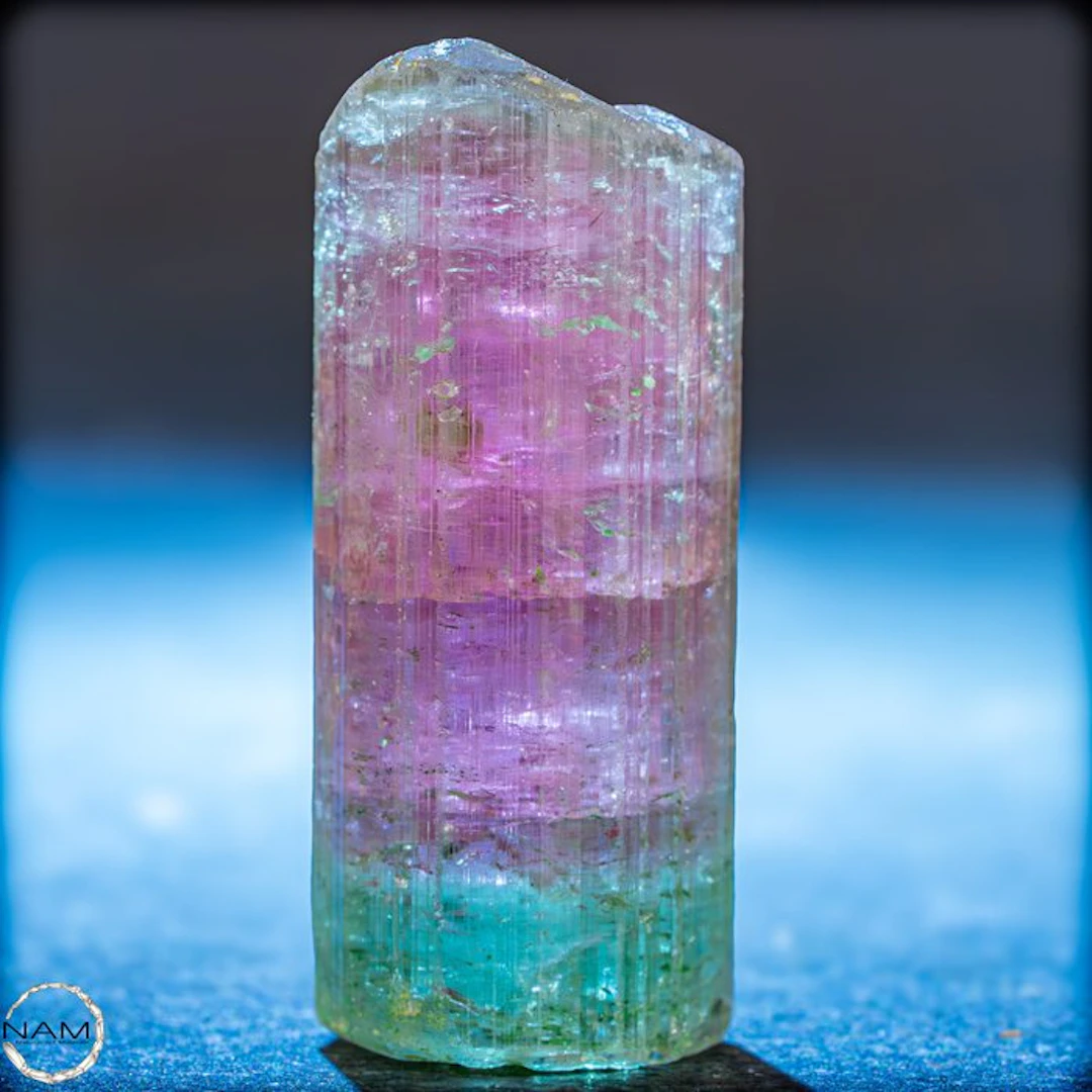 Watermelon Tourmaline – Elegant crystal with intense...
