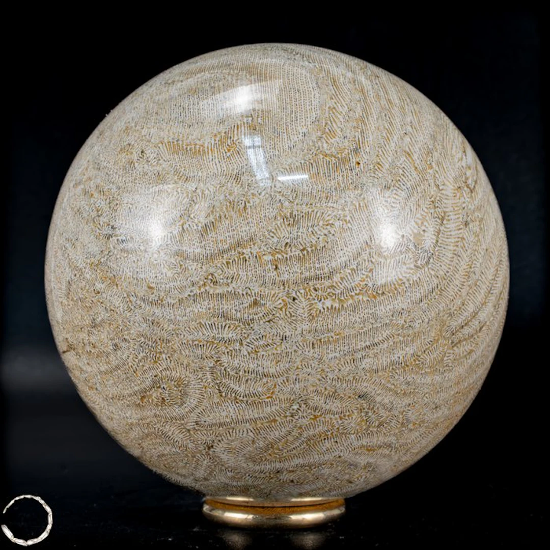 Natural AA+++ Fossil Goniopora-Coral Sphere, Australia, 4211.05 ct- 842.21 g