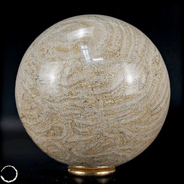 Natural AA+++ Fossil Goniopora-Coral Sphere, Australia, 4211.05 ct- 842.21 g