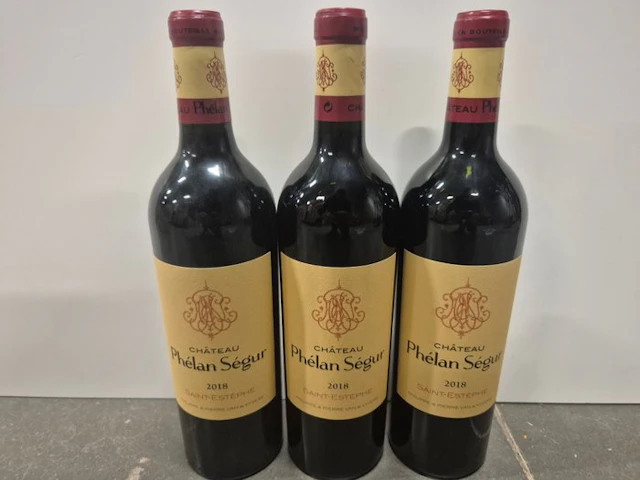 2016 Chateau Phelan Segur - Saint-Estèphe - 3 Bottles (0.75L)