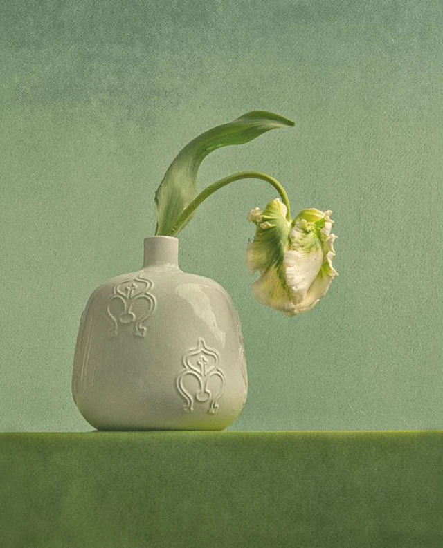 Ursula van de Bunte - Bending Grace
