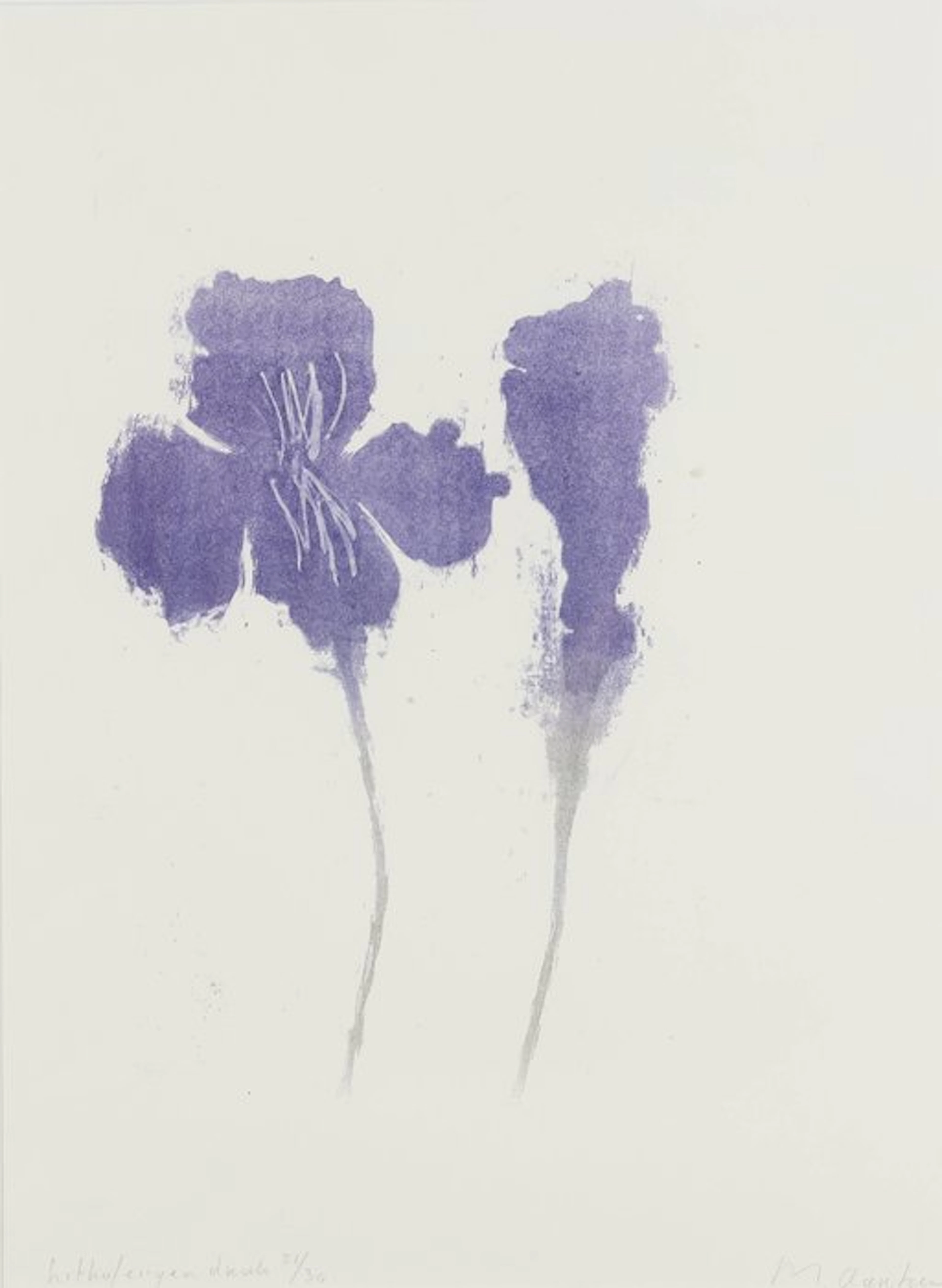 Marianne Aartsen (1950) - Paarse bloemen