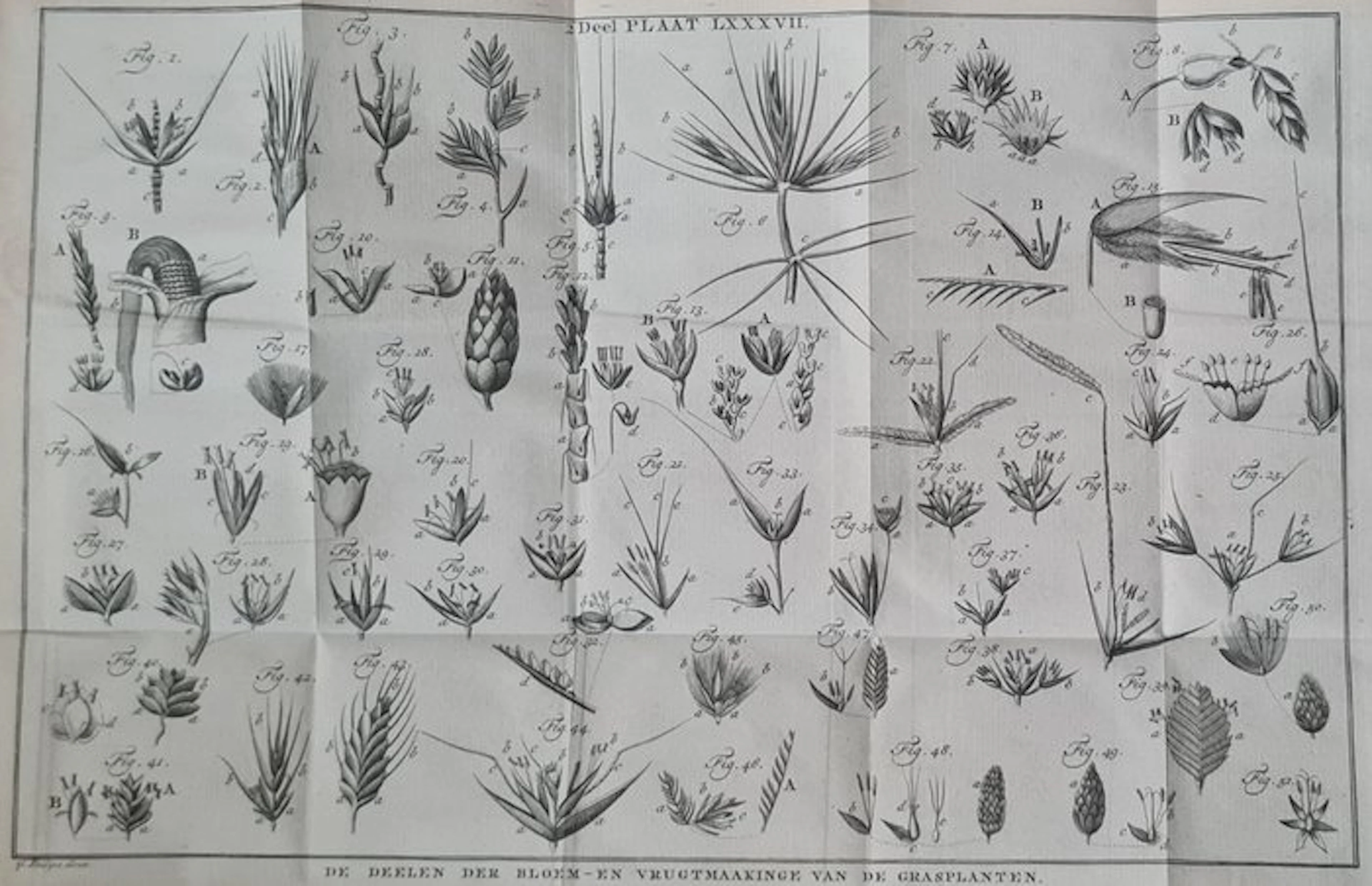 [Martinus Houttuyn]