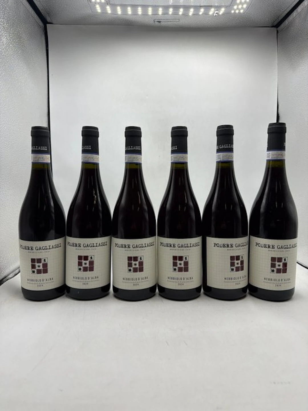 2024 Podere Gagliassi Nebbiolo D'Alba - Langhe - 6 Bottles (0.75L)