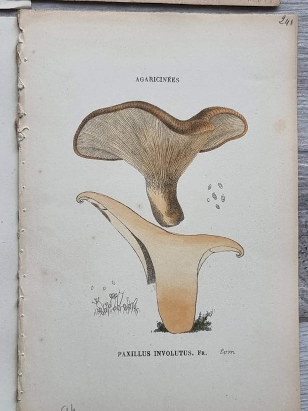 Claude Casimir Gillet (1806-1896) - Lot