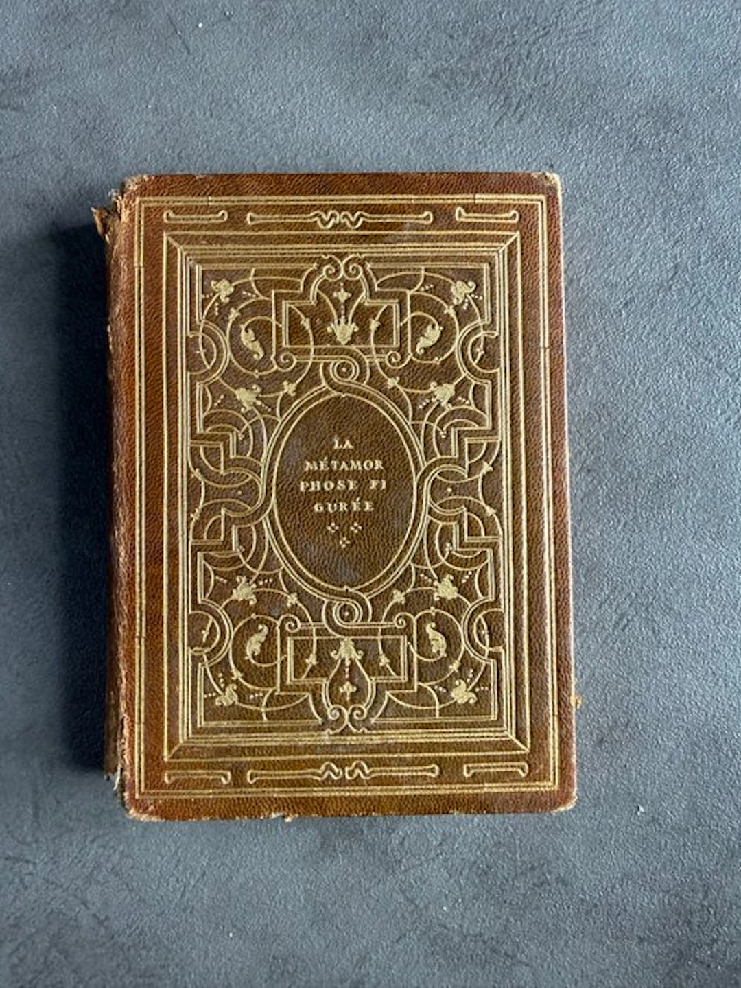 Ovide - La Métamorphose d'Ovide figurée - 1557-1933