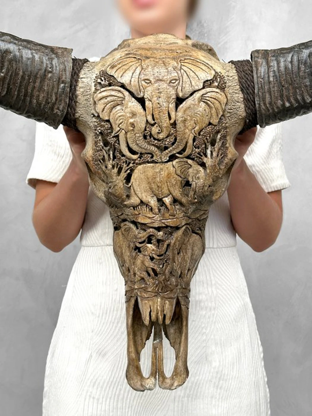 C - Extra Large Brown Carved Water Buffalo Skull...