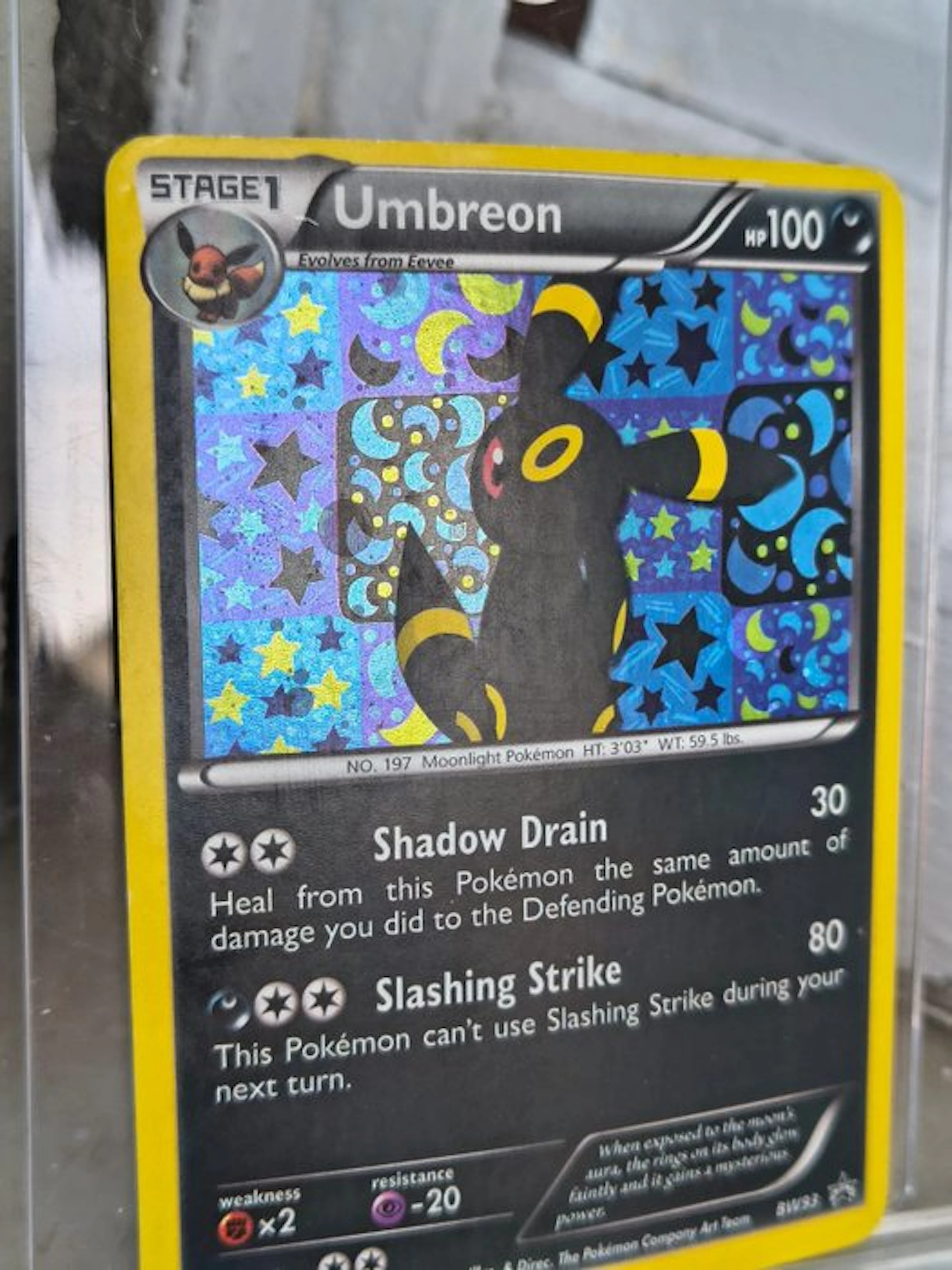 Pokémon - 1 Card - Umbreon BW93 Foil