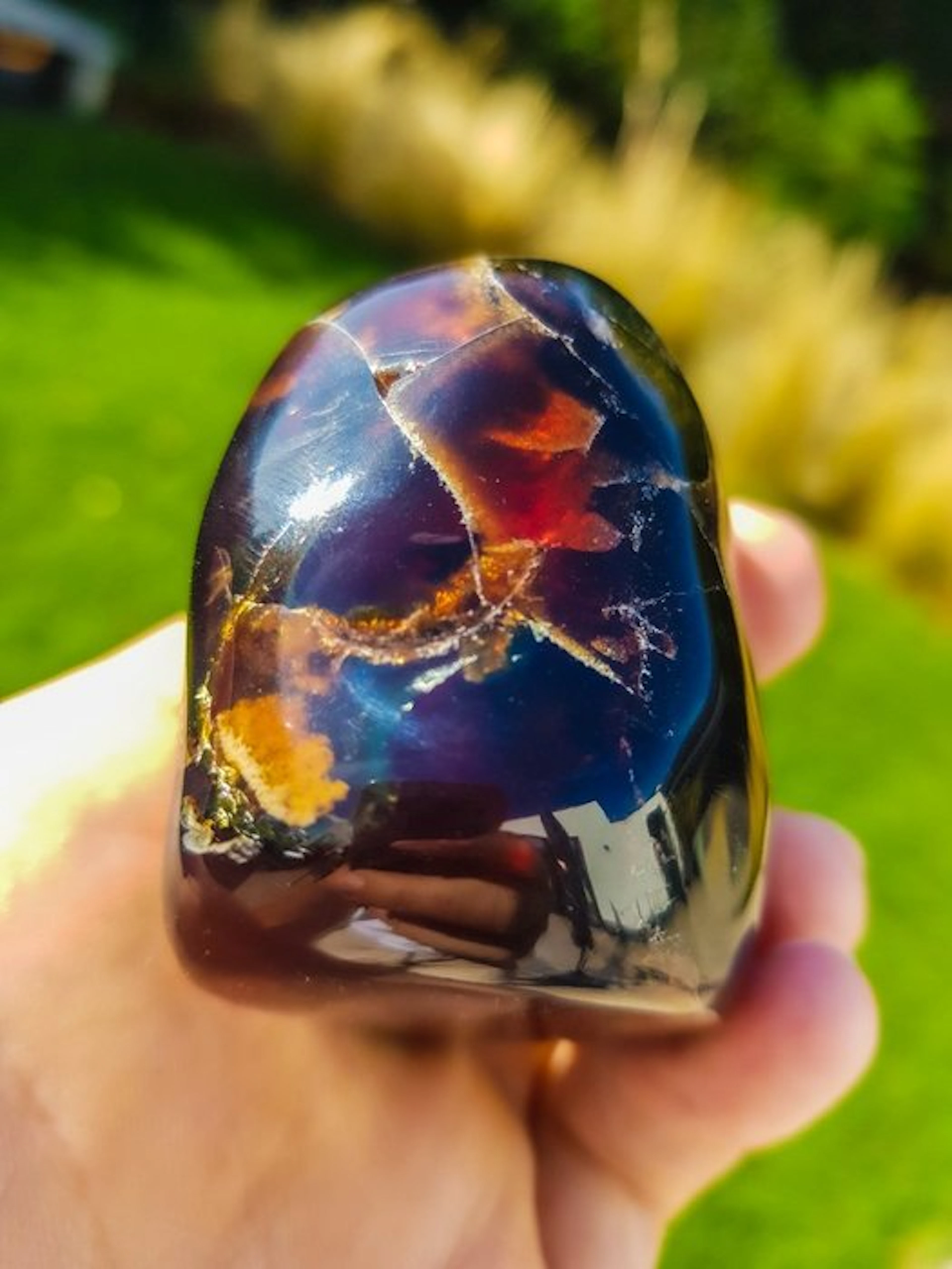 Amber - 6 cm - 6 cm (No reserve price)