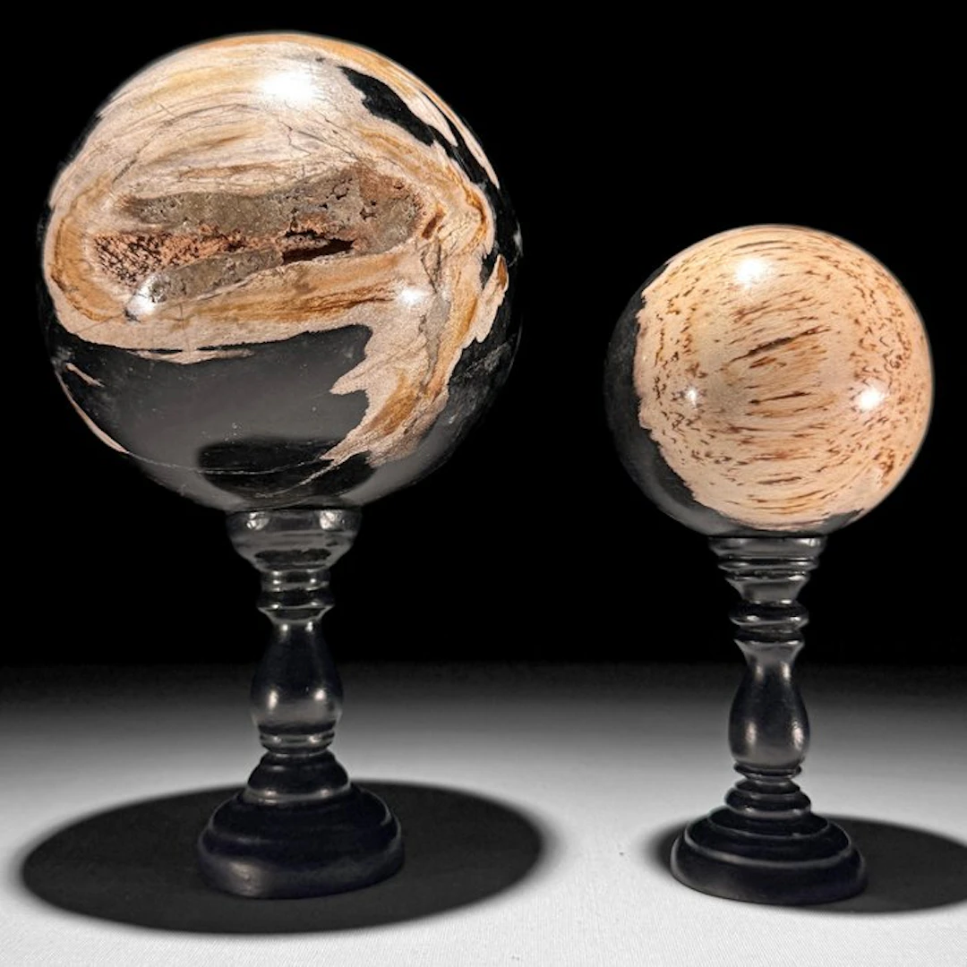 Wonderful Pair of Petrified Wood Spheres on custom stands...