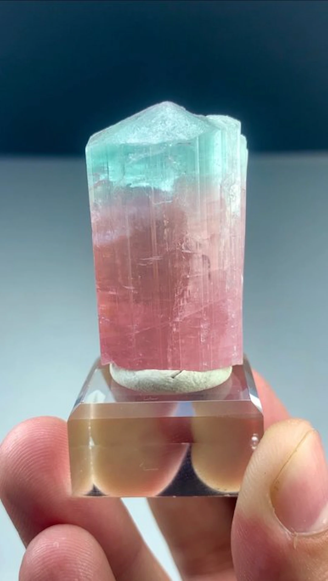 Bicolour tourmaline Crystal - Height: 40 mm - Width: 22 mm- 41 g - (1)