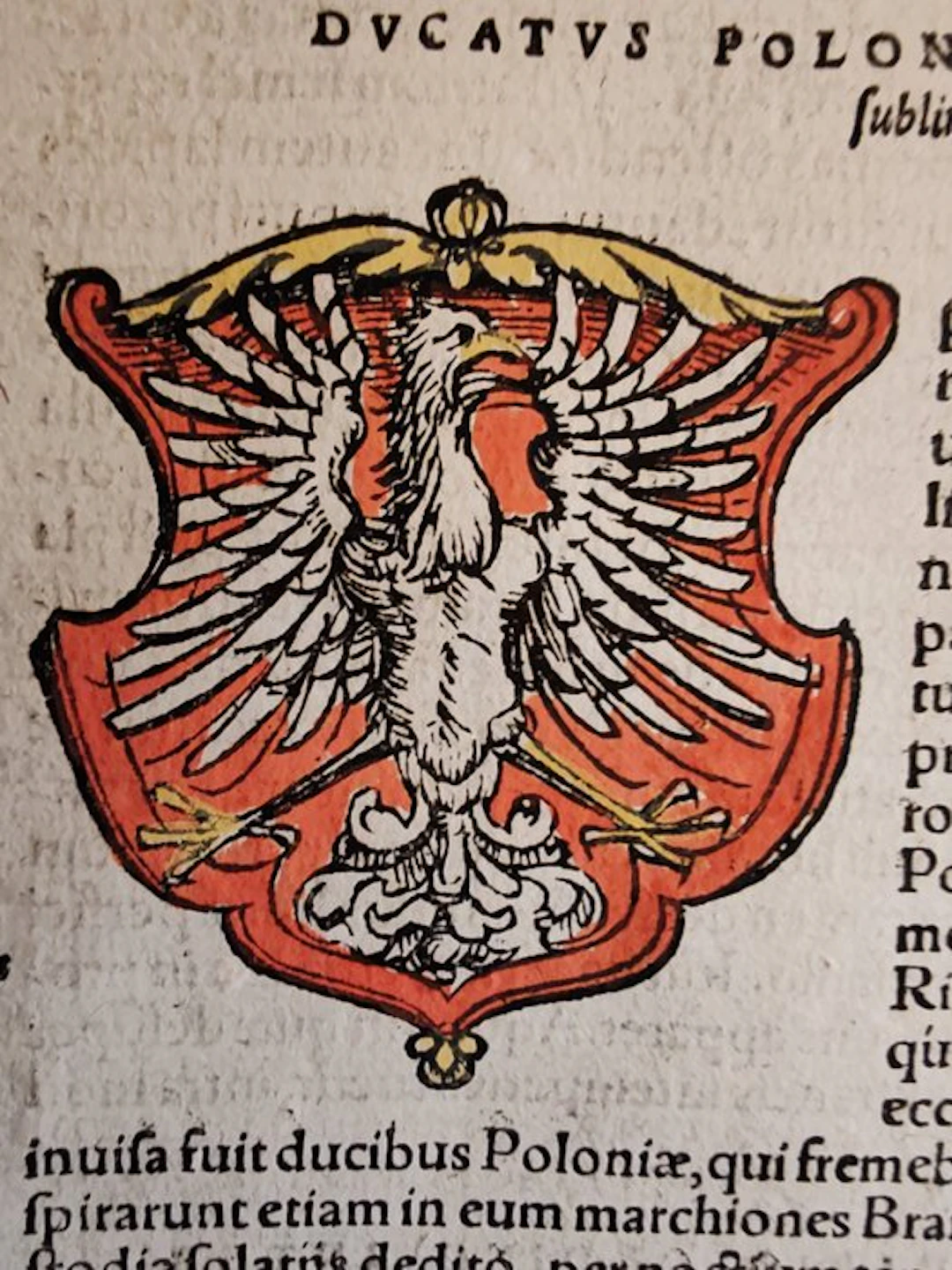 Sebastian Münster (1489–1552) - Cosmographia Universalis...
