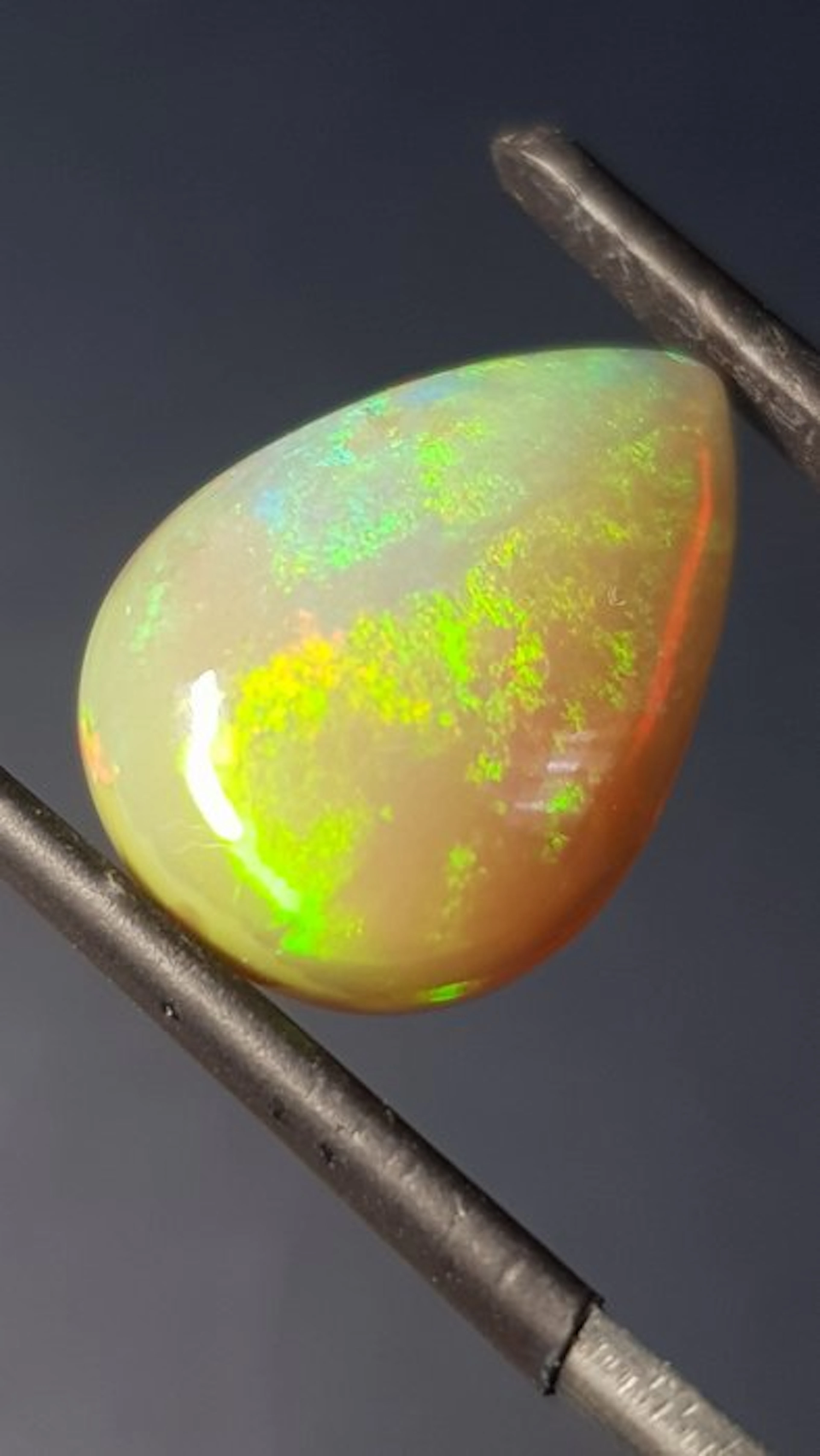 1 pcs Orange