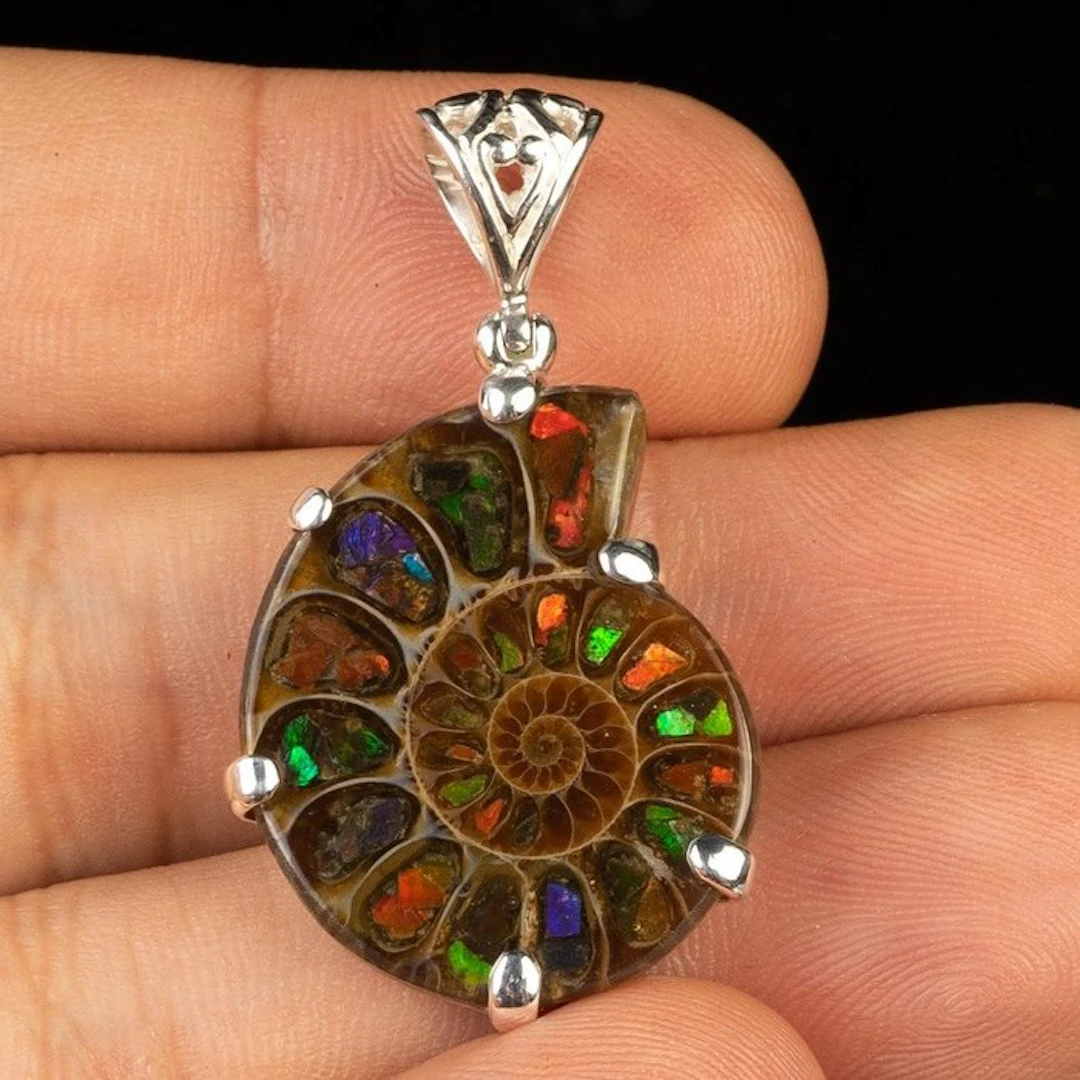 Cleoniceras Ammonite and Ammolite Inlays Jurassic Jewelry...