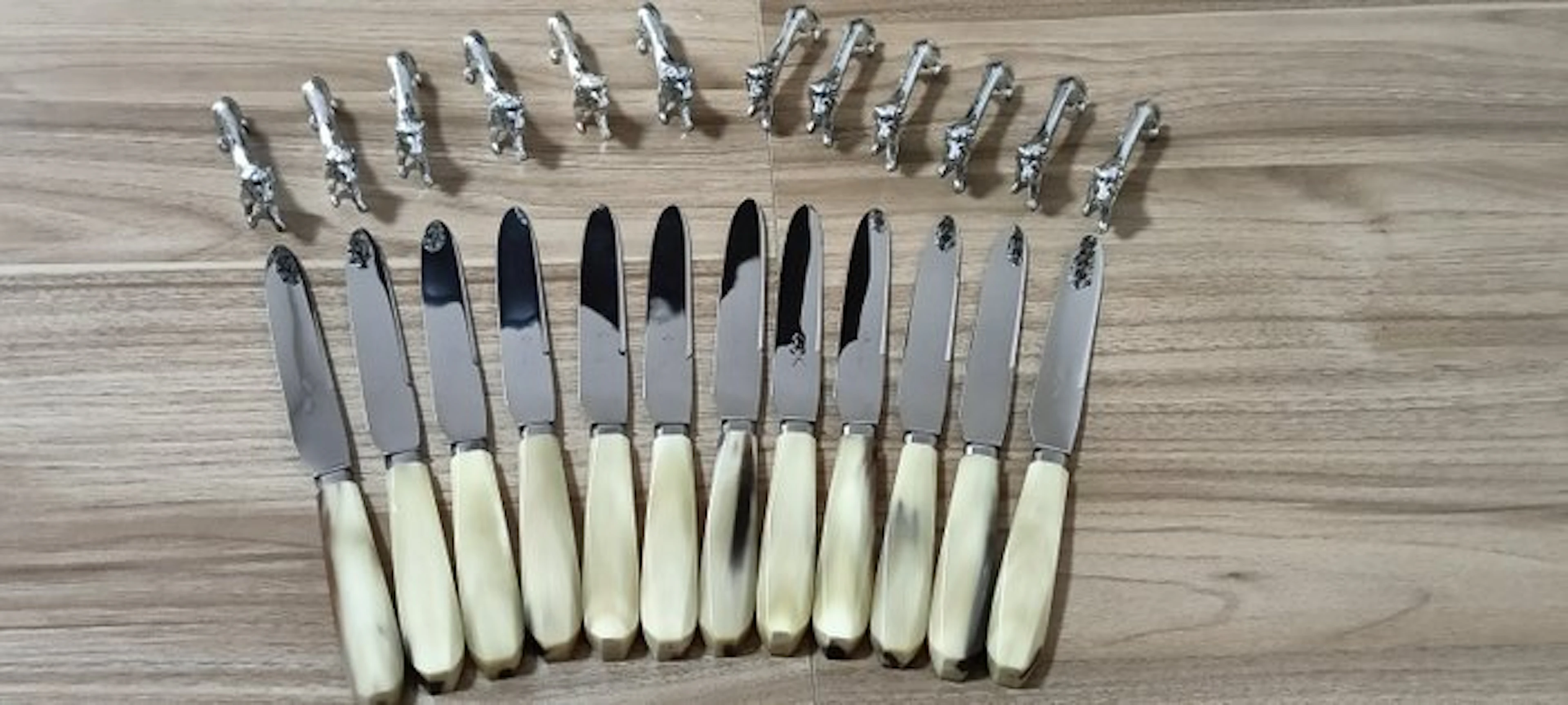 Table knife set (24) - Horn