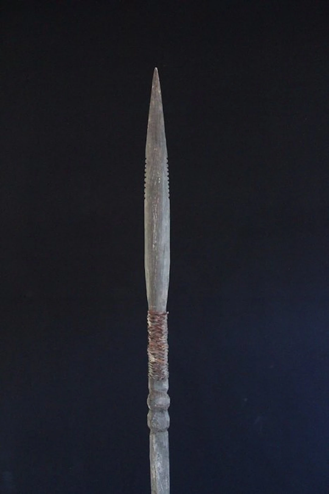 Boar Hunt: Spear of the Abelam - Papua New Guinea (No reserve price)