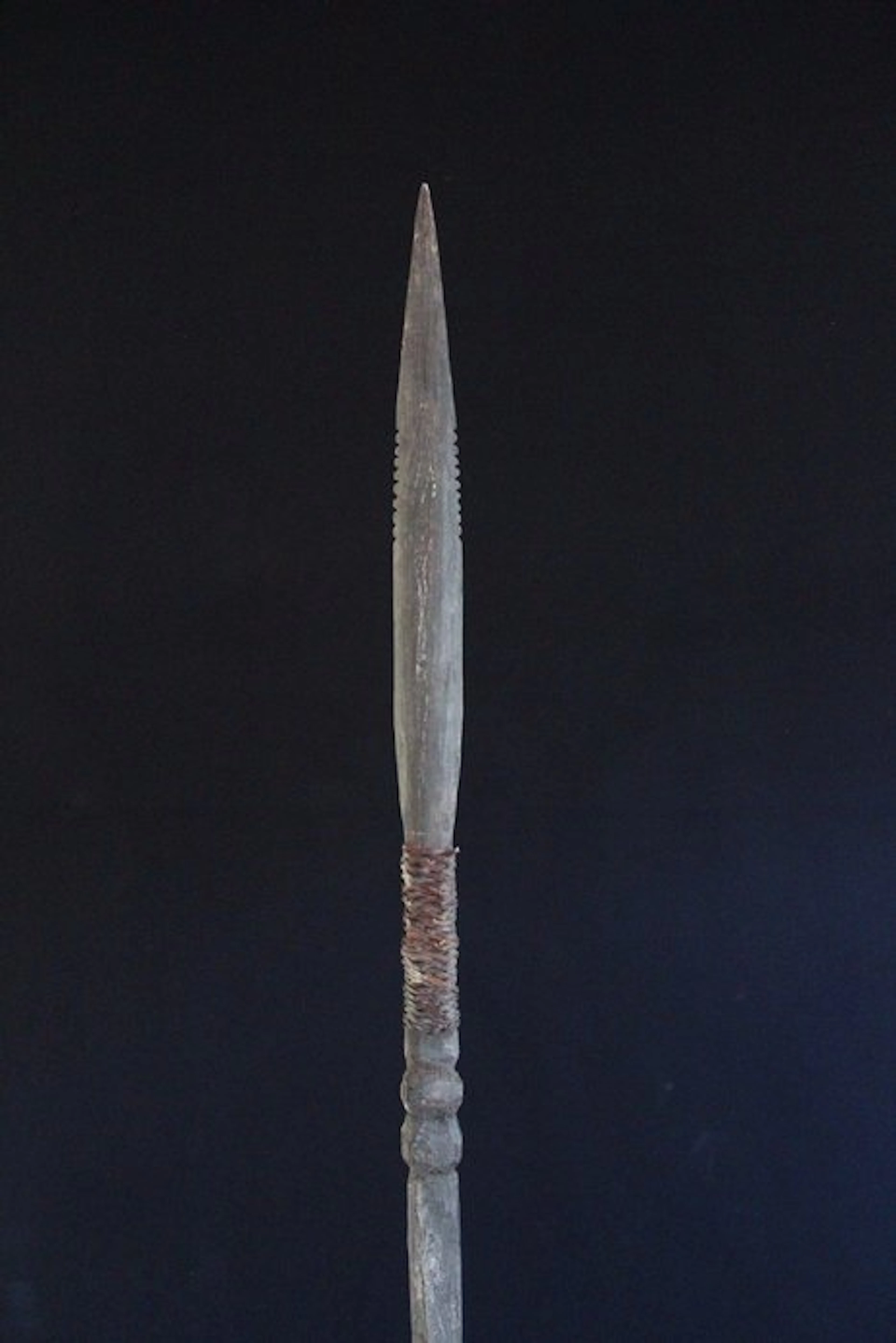 Boar Hunt: Spear of the Abelam - Papua New Guinea (No reserve price)