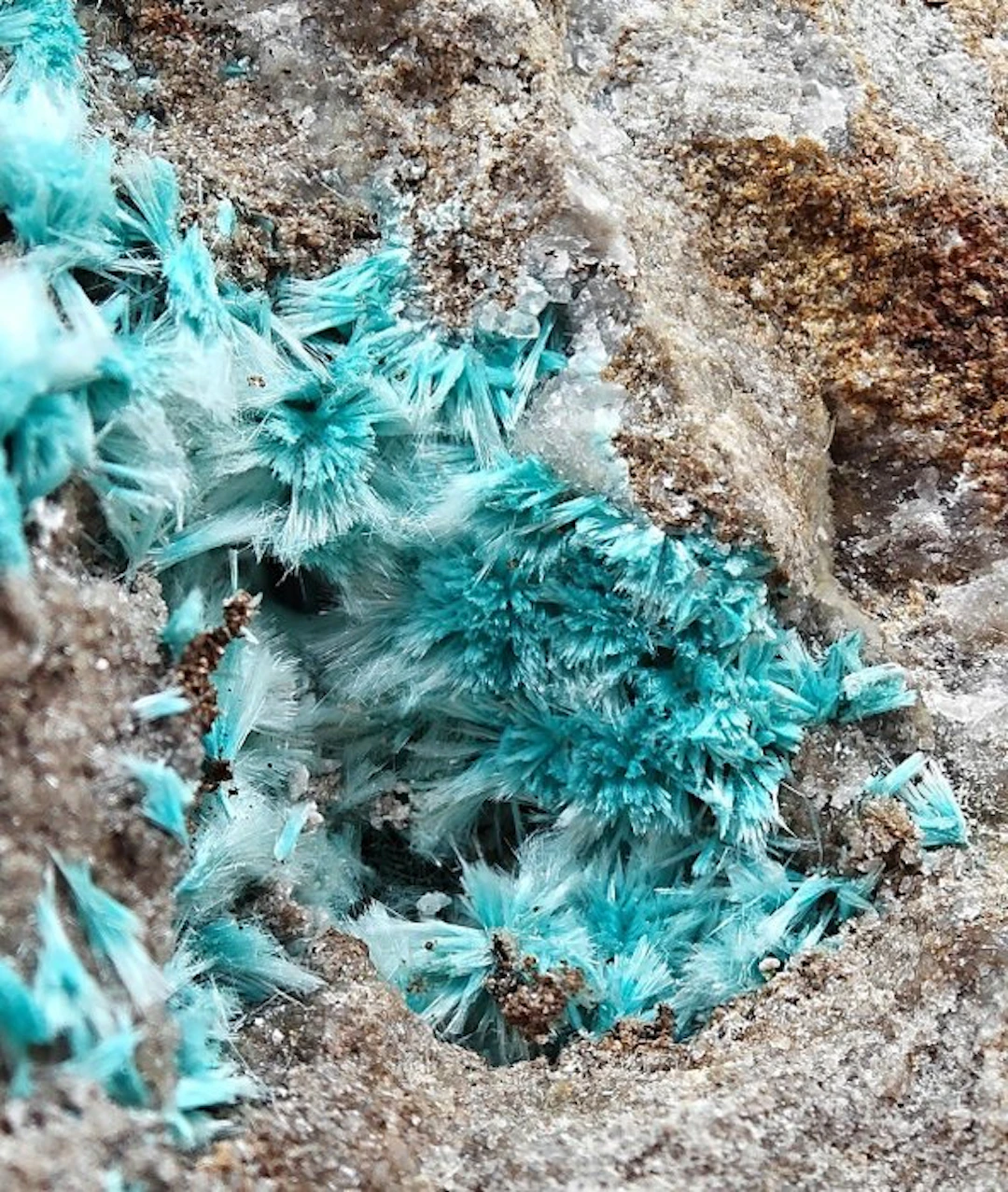 Tufts of blue aurichalcite