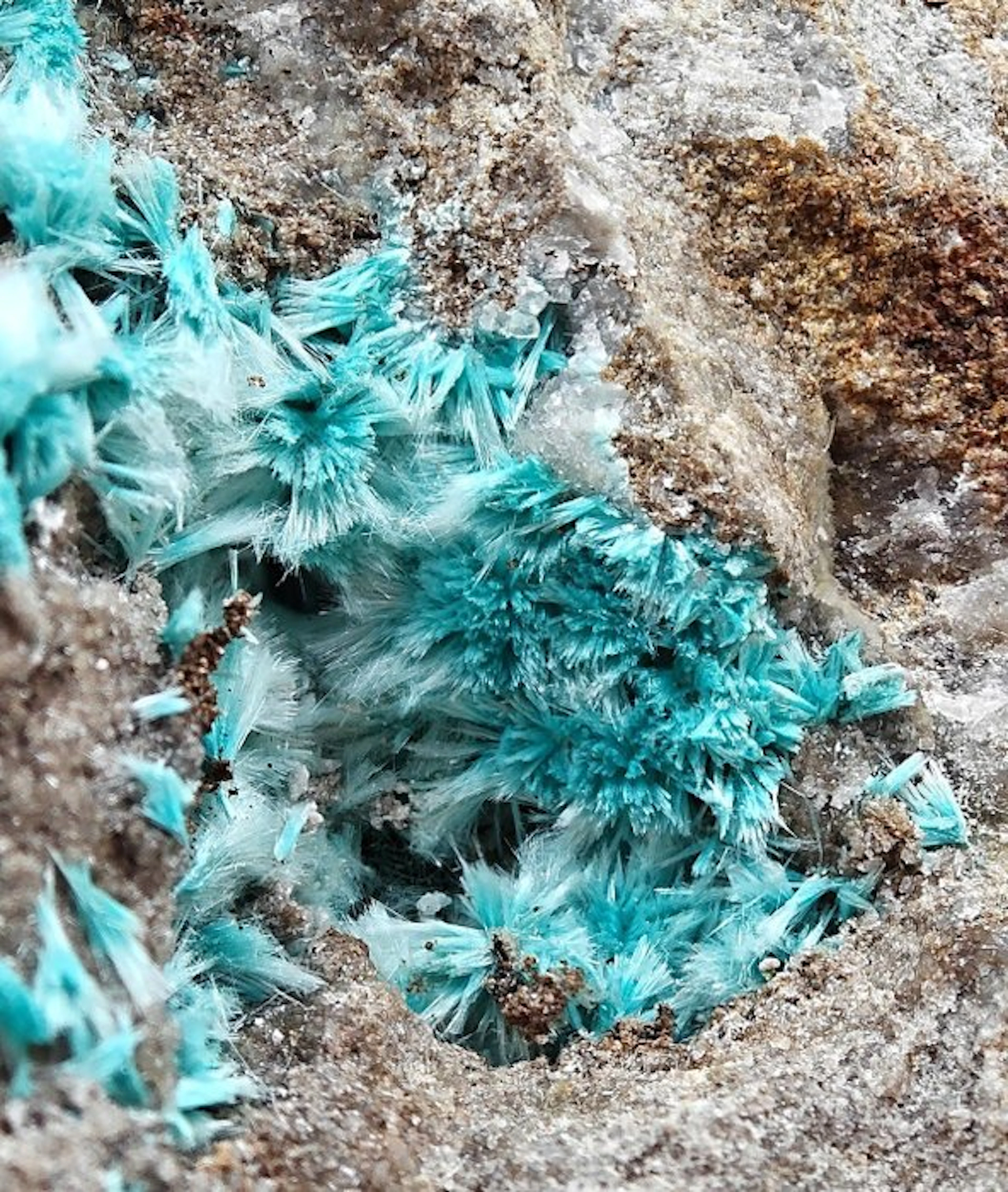 Tufts of blue aurichalcite