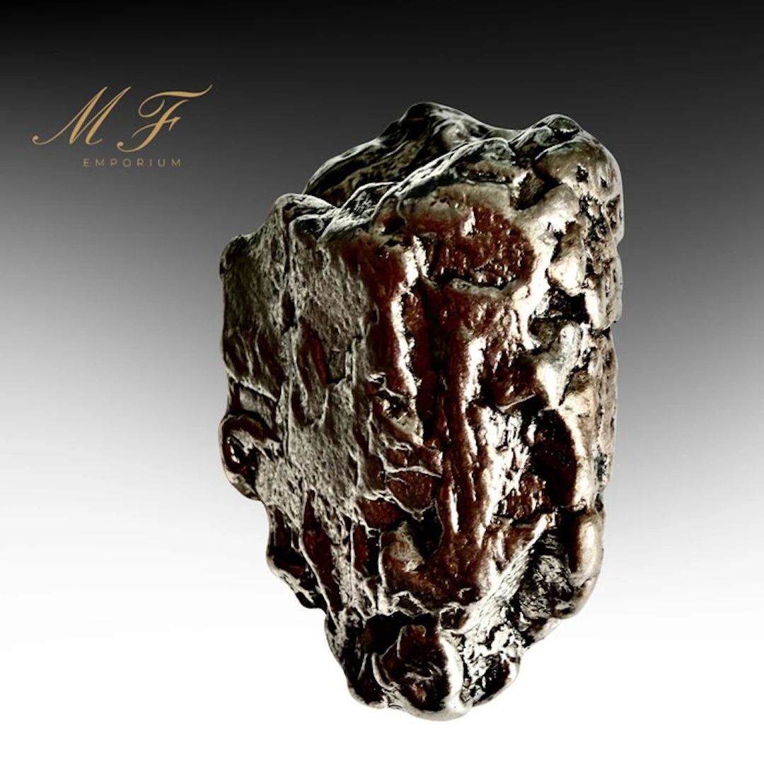 Campo del Cielo Meteorite – Exceptional Specimen Specimen...